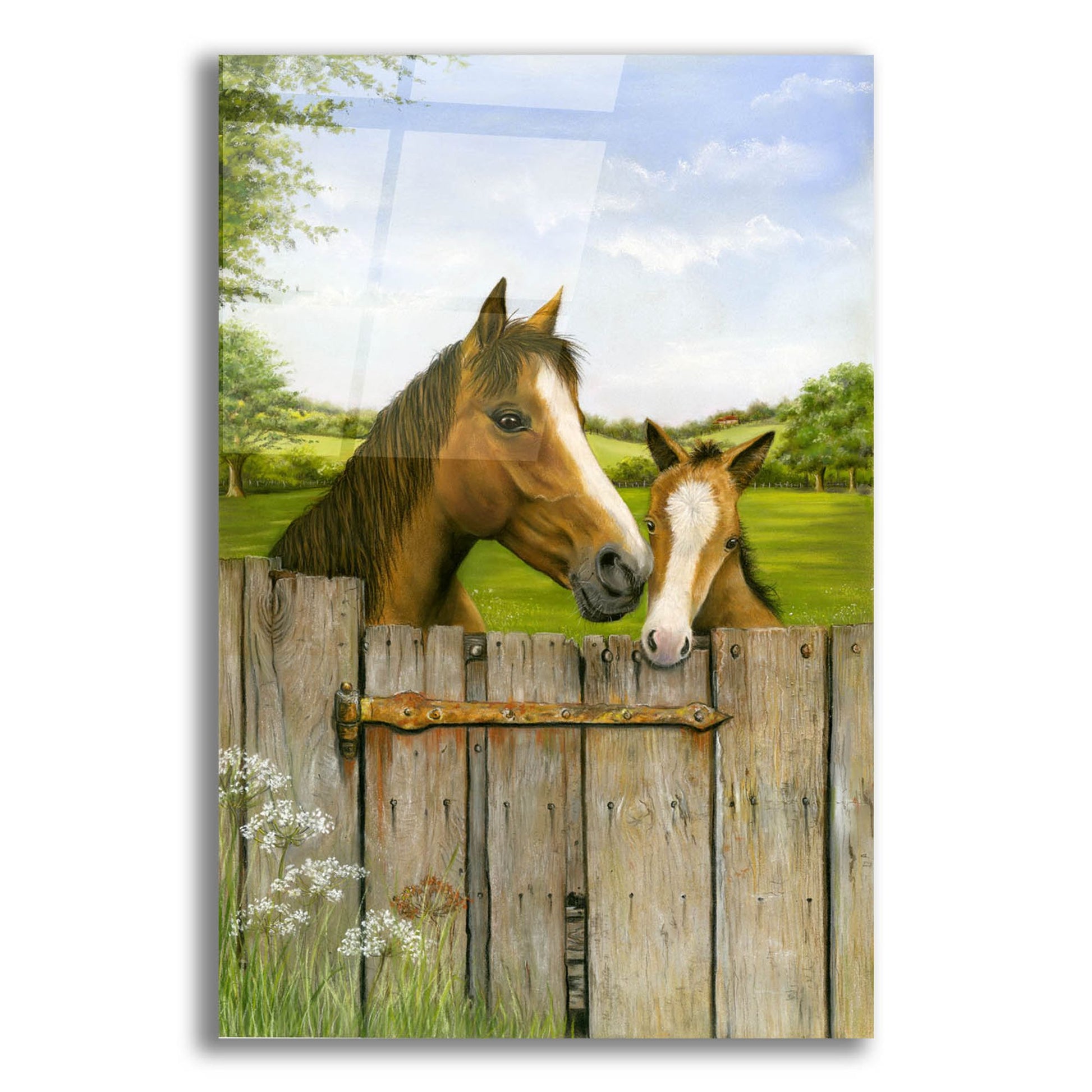 Epic Art 'Mother And Foal' by Janet Pidoux, Acrylic Glass Wall Art,12x16