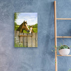 Epic Art 'Mother And Foal' by Janet Pidoux, Acrylic Glass Wall Art,16x24