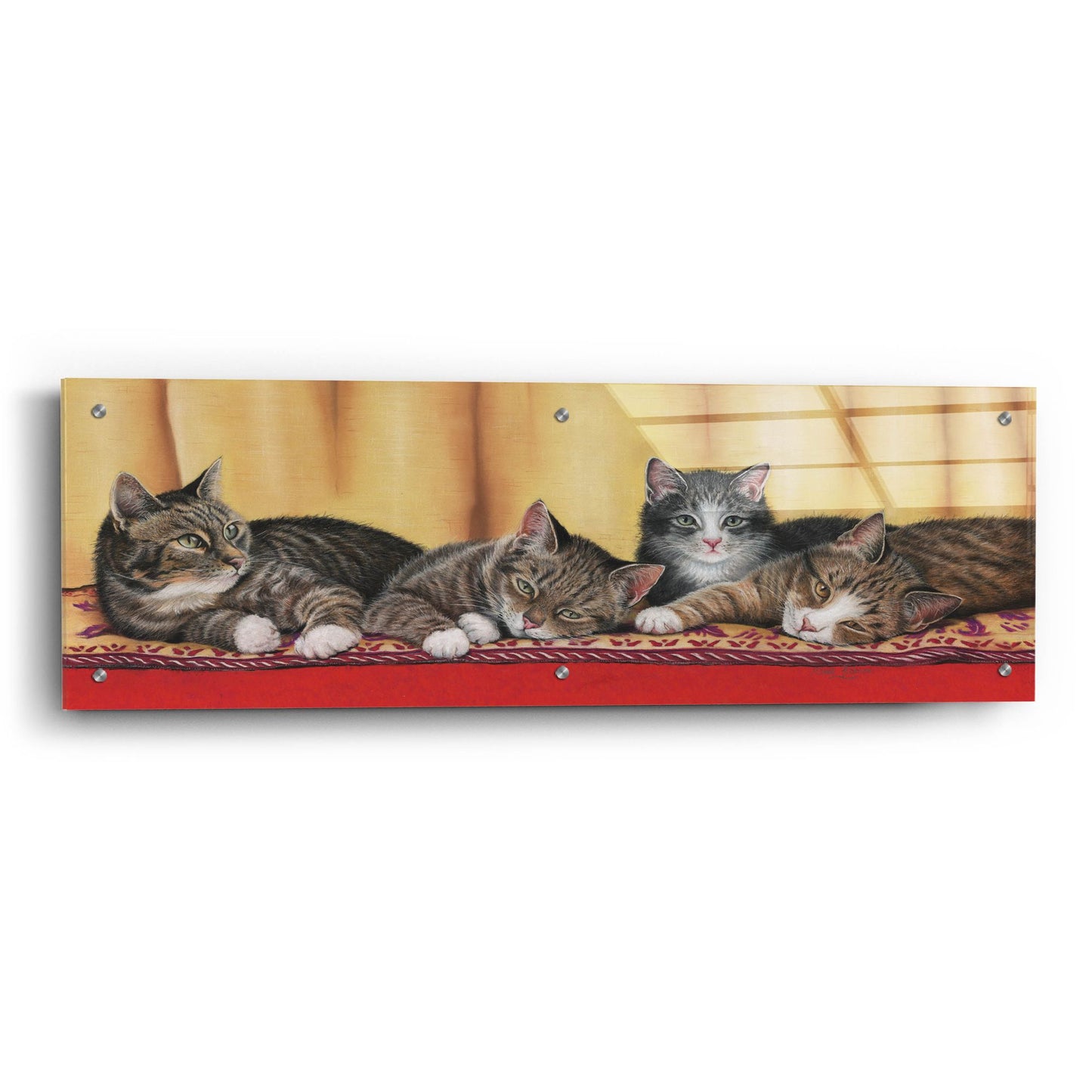 Epic Art 'Relaxing Tabbies' by Janet Pidoux, Acrylic Glass Wall Art,36x12