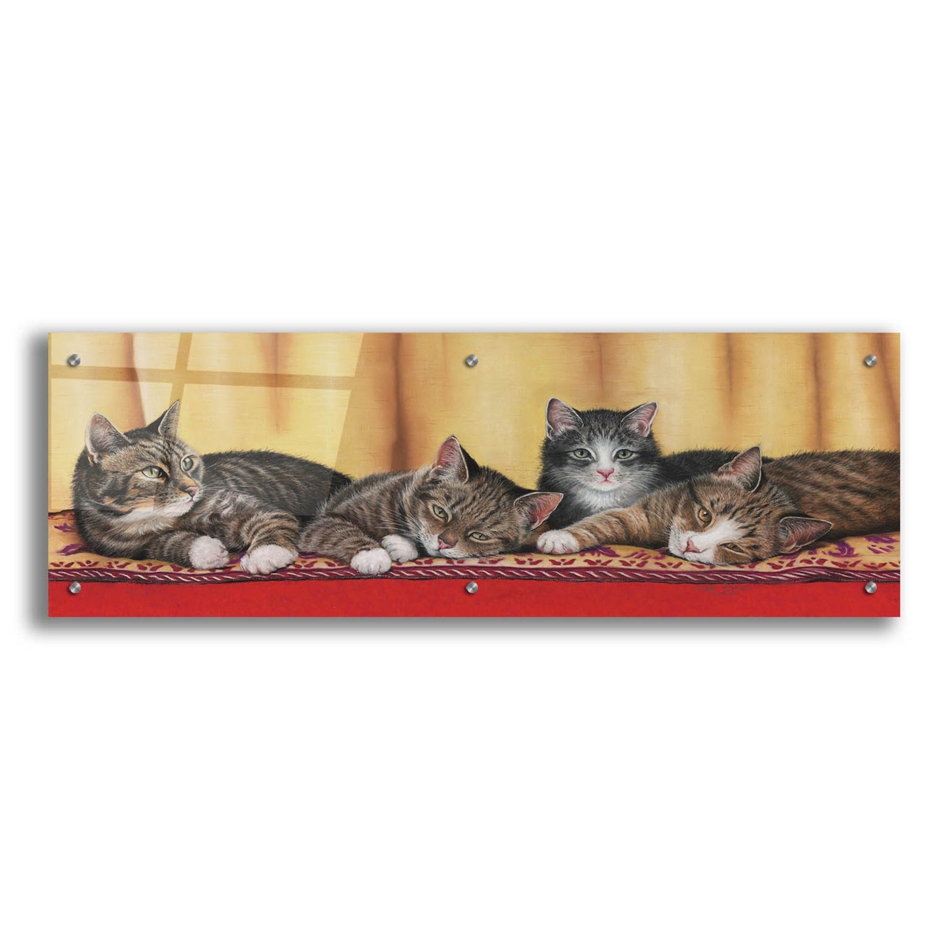 Epic Art 'Relaxing Tabbies' by Janet Pidoux, Acrylic Glass Wall Art,36x12