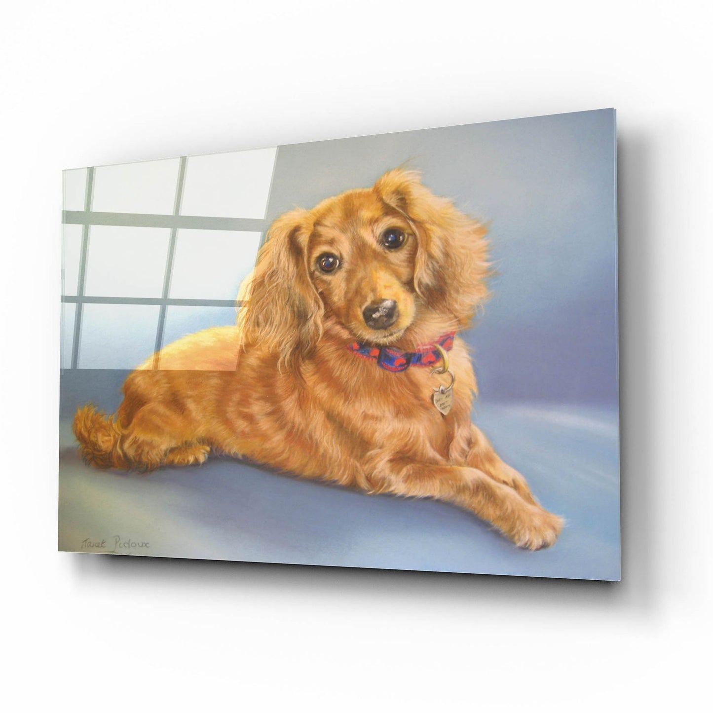 Epic Art 'Sophie, Blue Background' by Janet Pidoux, Acrylic Glass Wall Art,16x12