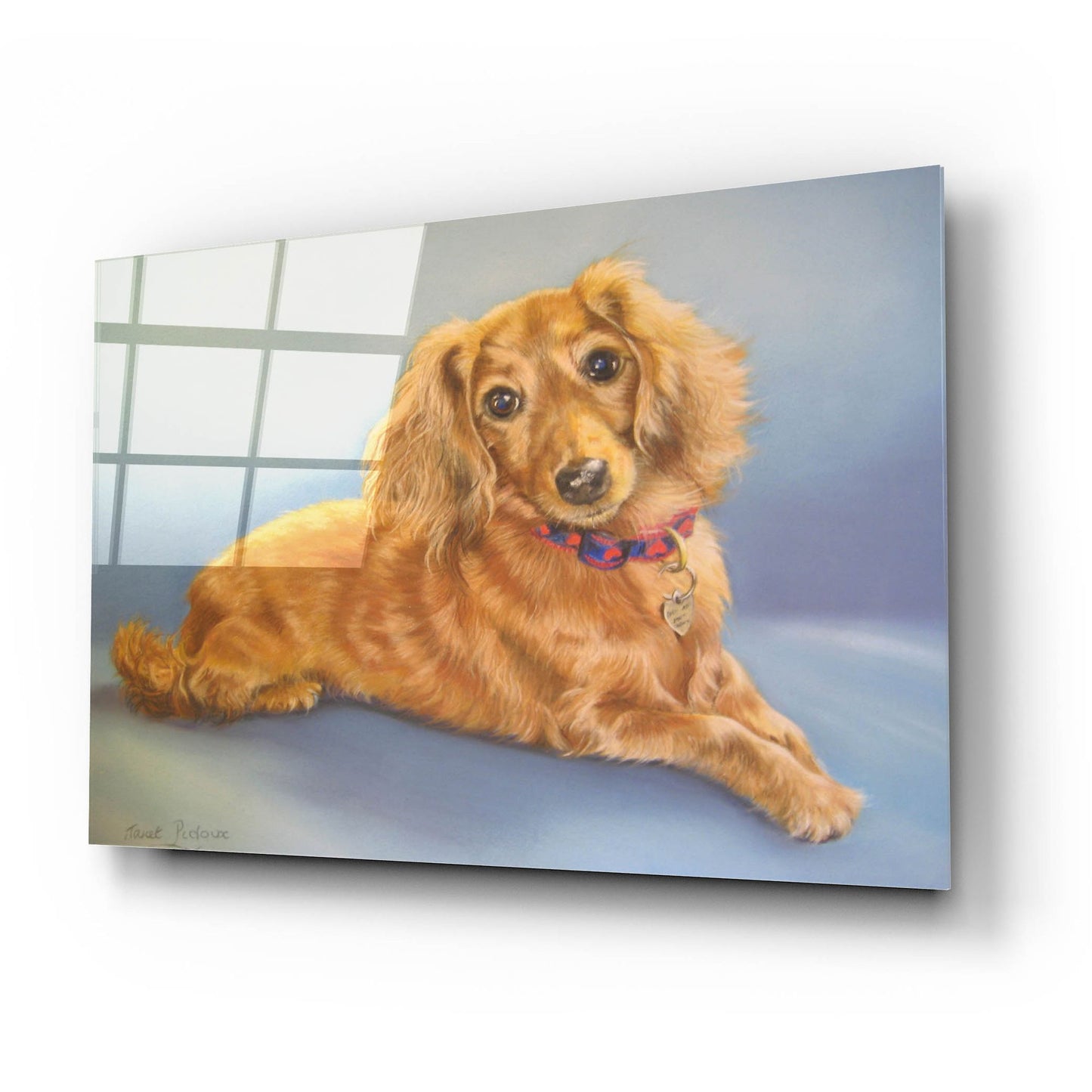 Epic Art 'Sophie, Blue Background' by Janet Pidoux, Acrylic Glass Wall Art,24x16