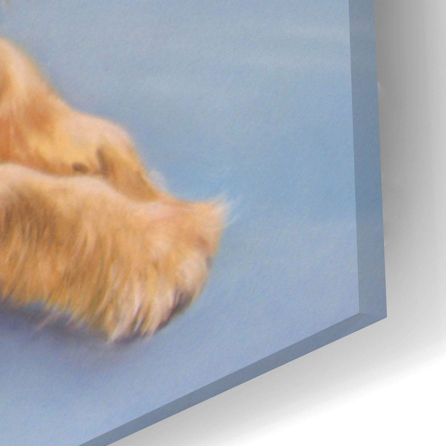 Epic Art 'Sophie, Blue Background' by Janet Pidoux, Acrylic Glass Wall Art,24x16