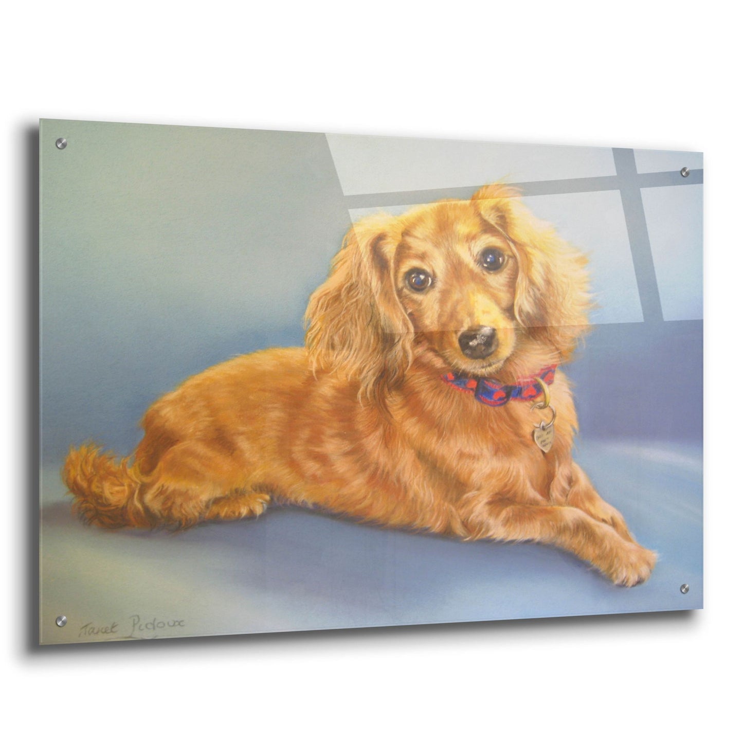 Epic Art 'Sophie, Blue Background' by Janet Pidoux, Acrylic Glass Wall Art,36x24