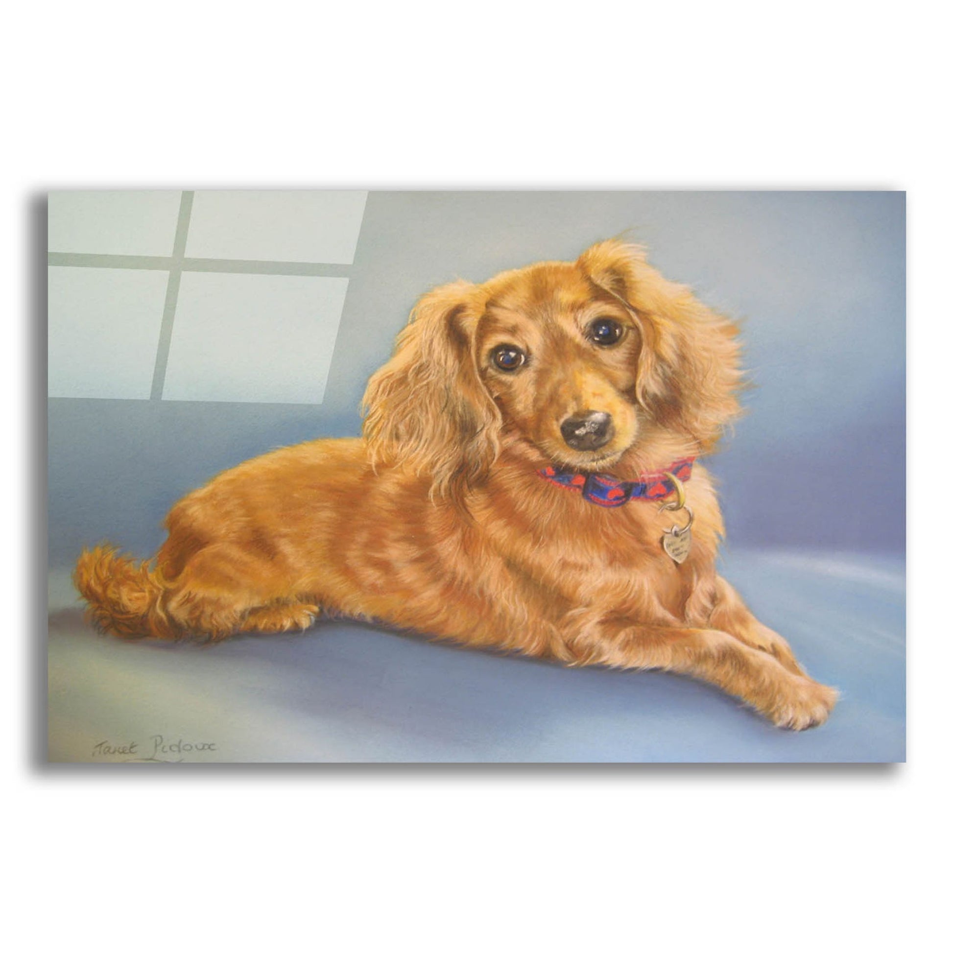 Epic Art 'Sophie, Blue Background' by Janet Pidoux, Acrylic Glass Wall Art