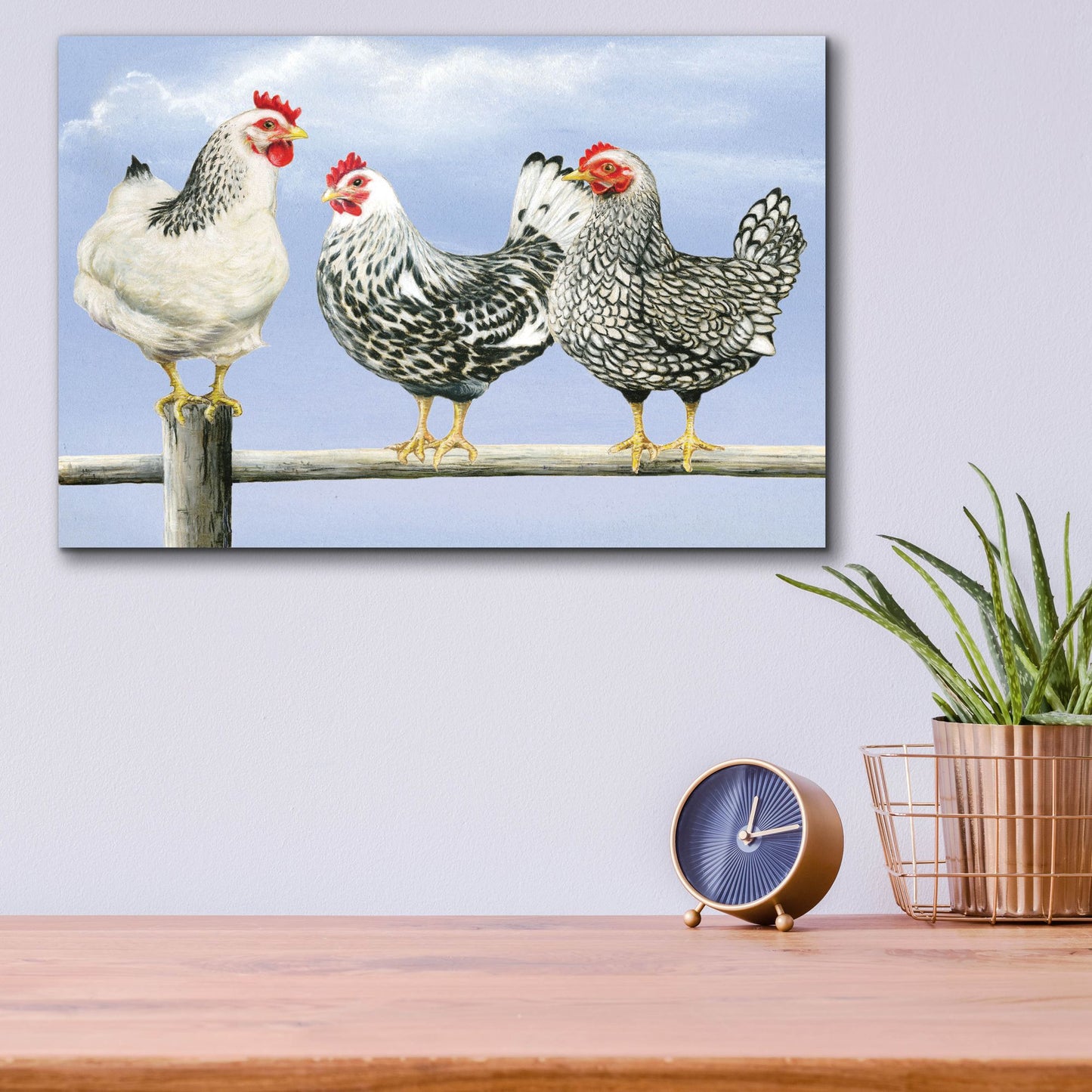 Epic Art 'Three Black & White Hens' by Janet Pidoux, Acrylic Glass Wall Art,16x12