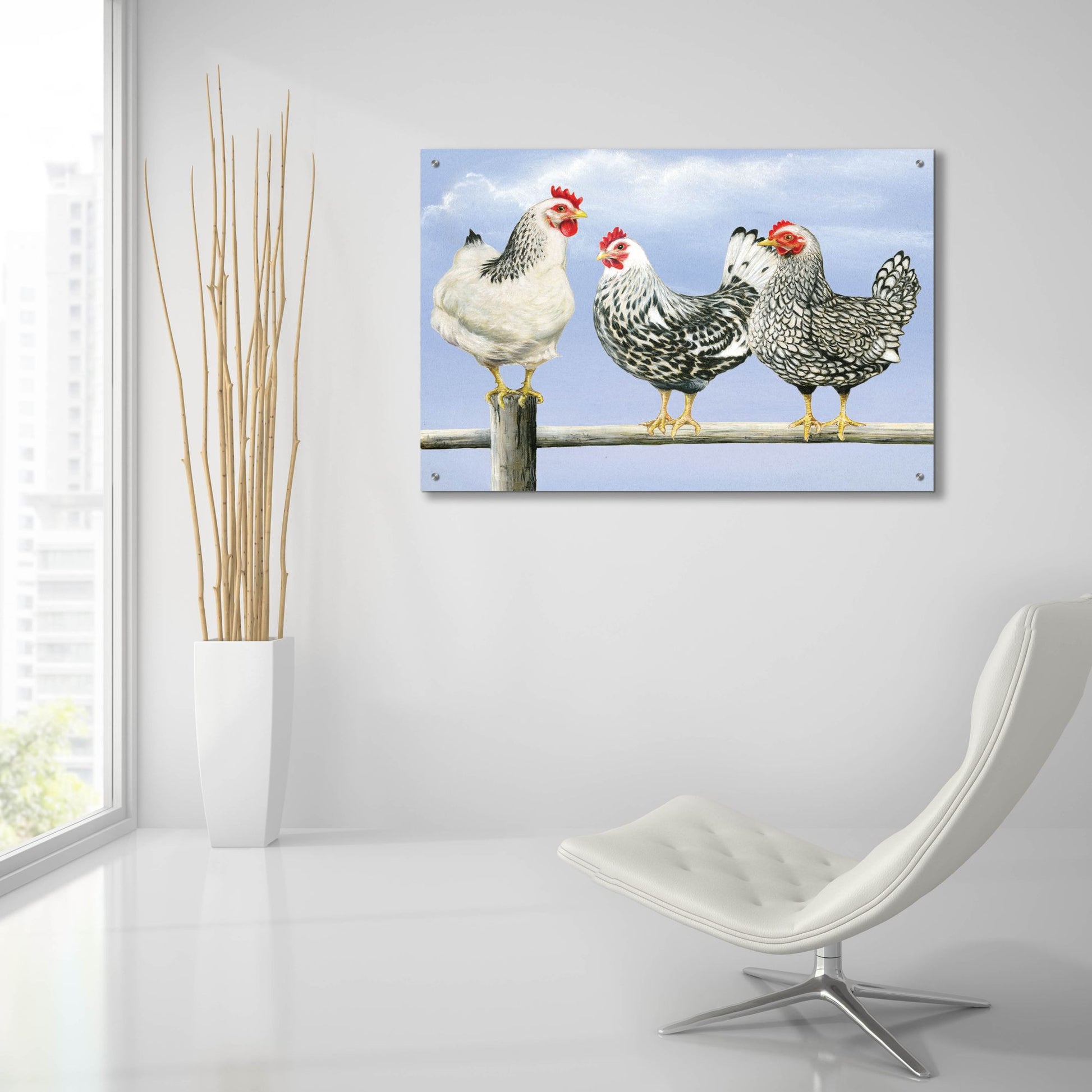 Epic Art 'Three Black & White Hens' by Janet Pidoux, Acrylic Glass Wall Art,36x24