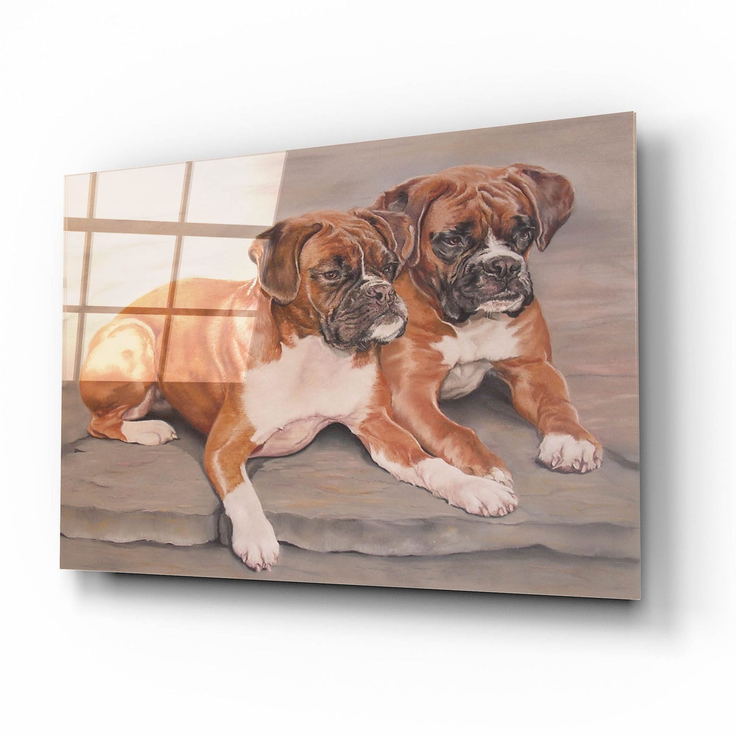 Epic Art 'Two Boxer Dogs' by Janet Pidoux, Acrylic Glass Wall Art,16x12