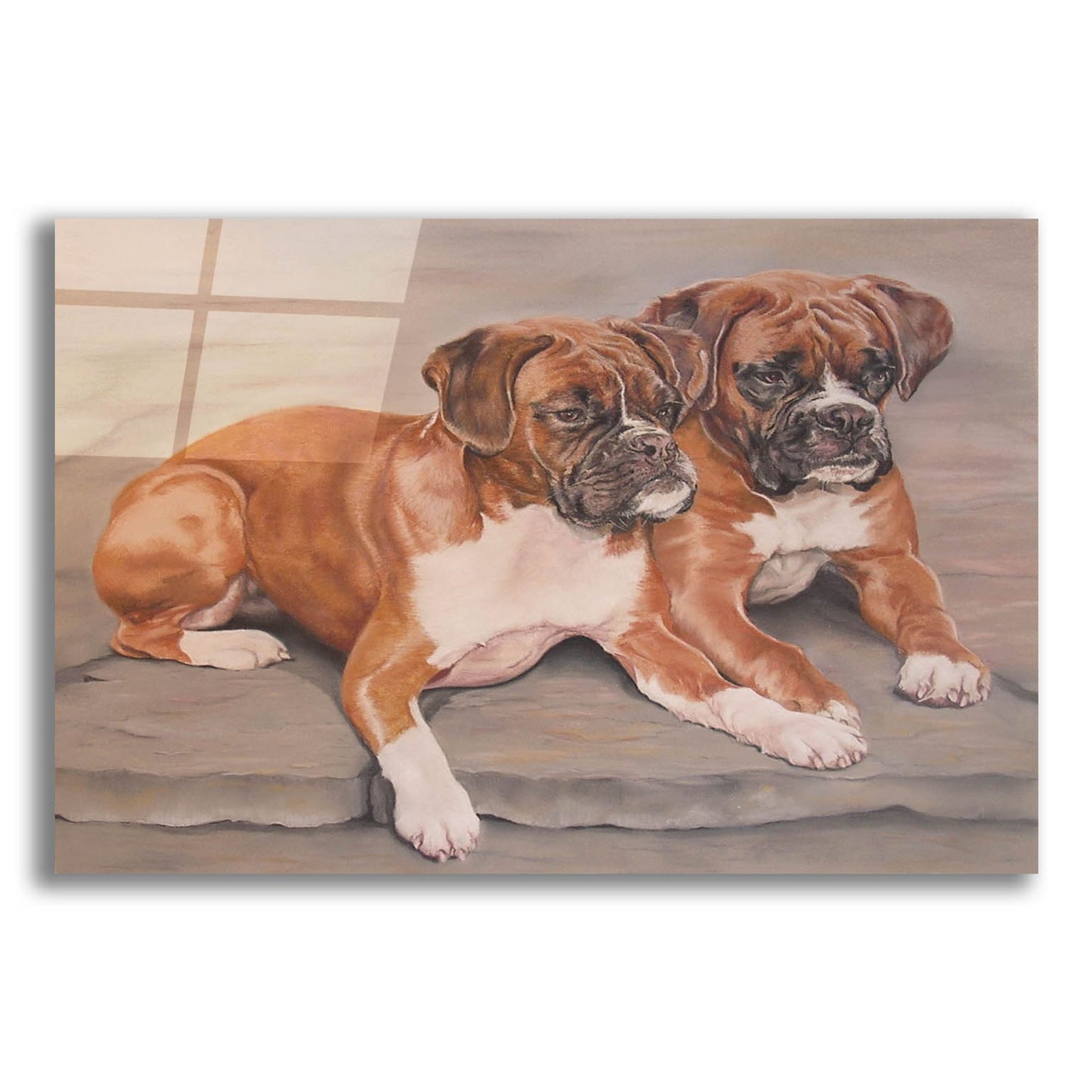 Epic Art 'Two Boxer Dogs' by Janet Pidoux, Acrylic Glass Wall Art,16x12