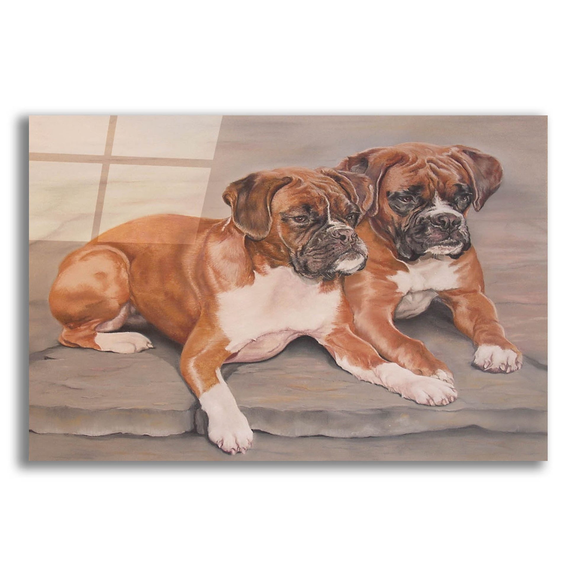 Epic Art 'Two Boxer Dogs' by Janet Pidoux, Acrylic Glass Wall Art,16x12