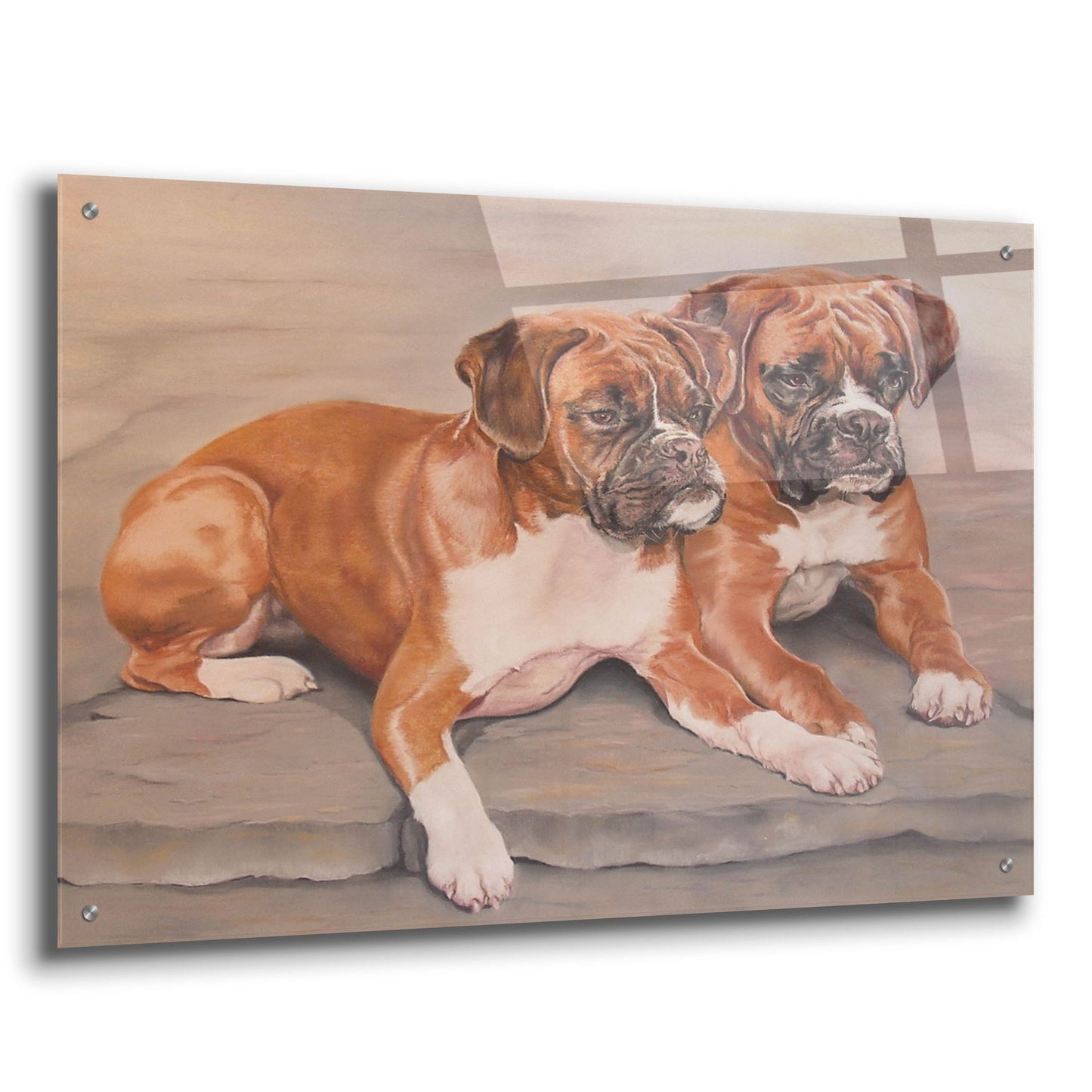 Epic Art 'Two Boxer Dogs' by Janet Pidoux, Acrylic Glass Wall Art,36x24