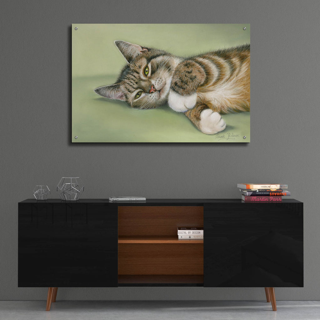 Epic Art 'Green Eyes' by Janet Pidoux, Acrylic Glass Wall Art,36x24