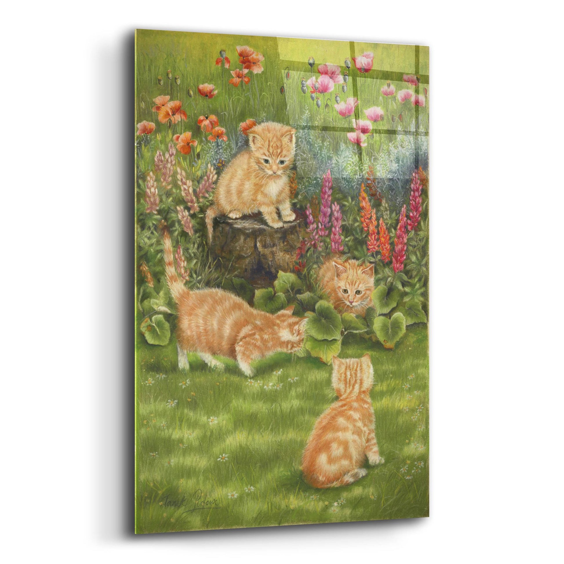 Epic Art 'Kittens In The Garden' by Janet Pidoux, Acrylic Glass Wall Art,12x16