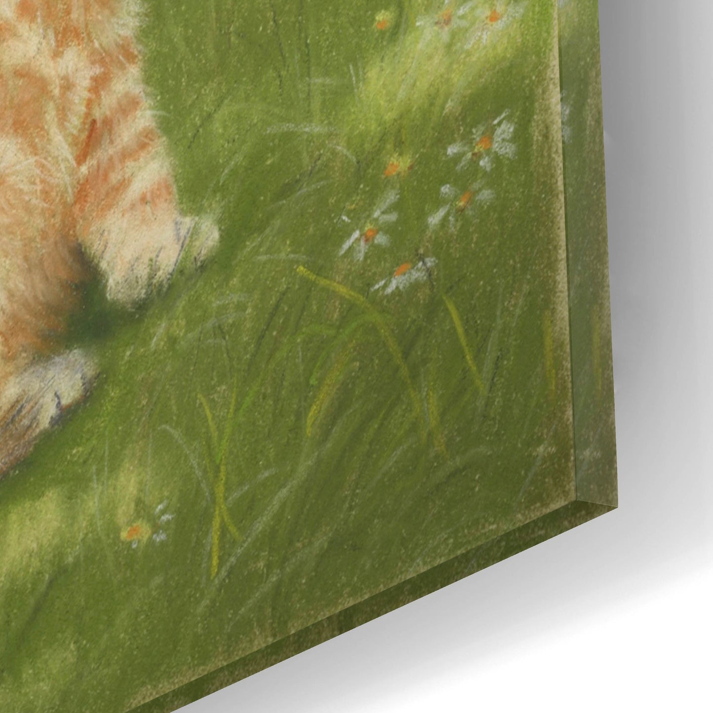 Epic Art 'Kittens In The Garden' by Janet Pidoux, Acrylic Glass Wall Art,12x16