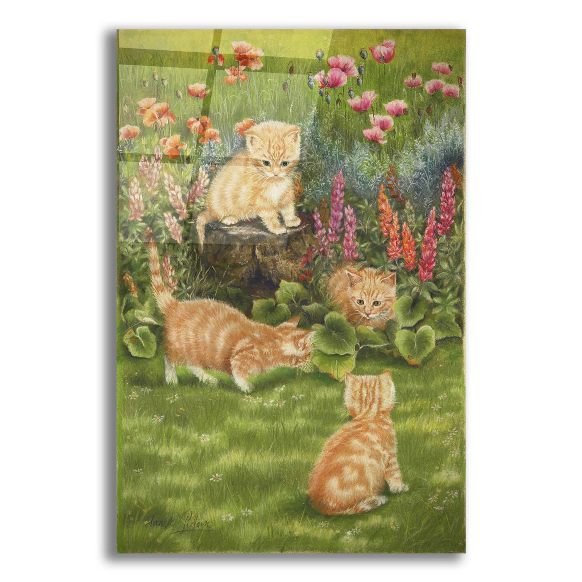 Epic Art 'Kittens In The Garden' by Janet Pidoux, Acrylic Glass Wall Art,12x16