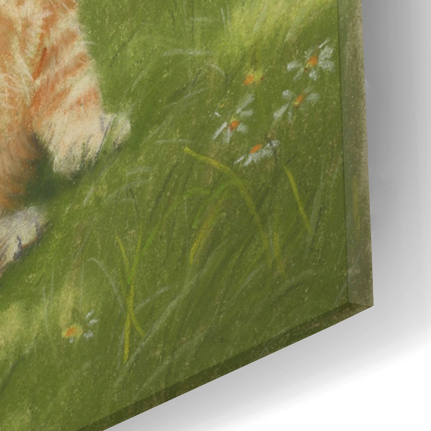 Epic Art 'Kittens In The Garden' by Janet Pidoux, Acrylic Glass Wall Art,16x24