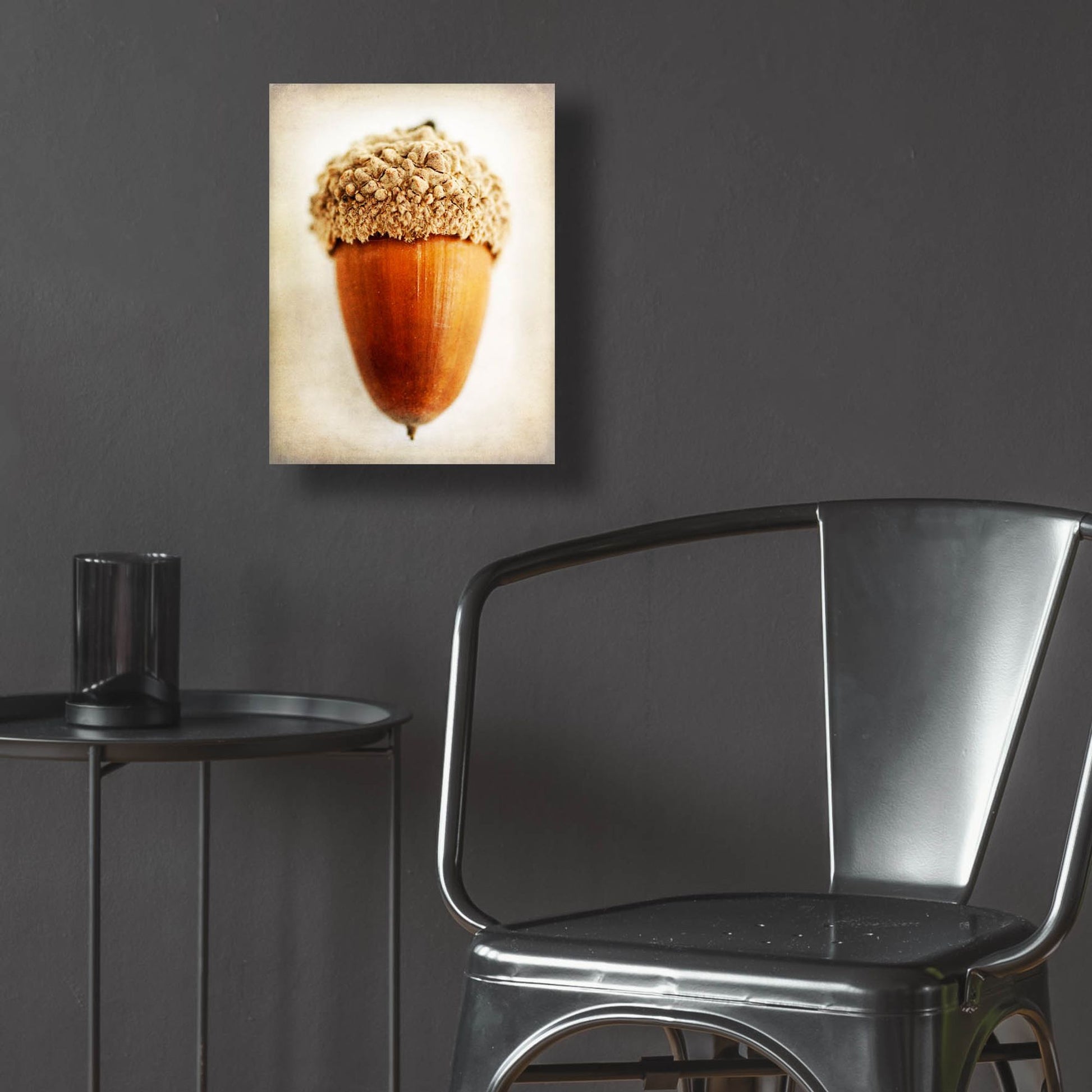 Epic Art 'Acorn' by Jessica Rogers, Acrylic Glass Wall Art,12x16