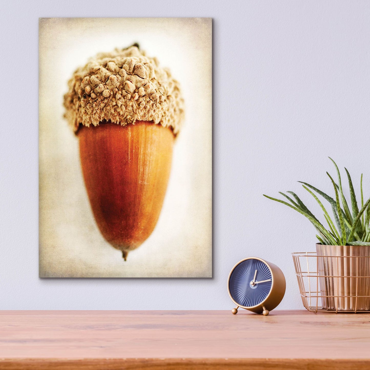 Epic Art 'Acorn' by Jessica Rogers, Acrylic Glass Wall Art,12x16