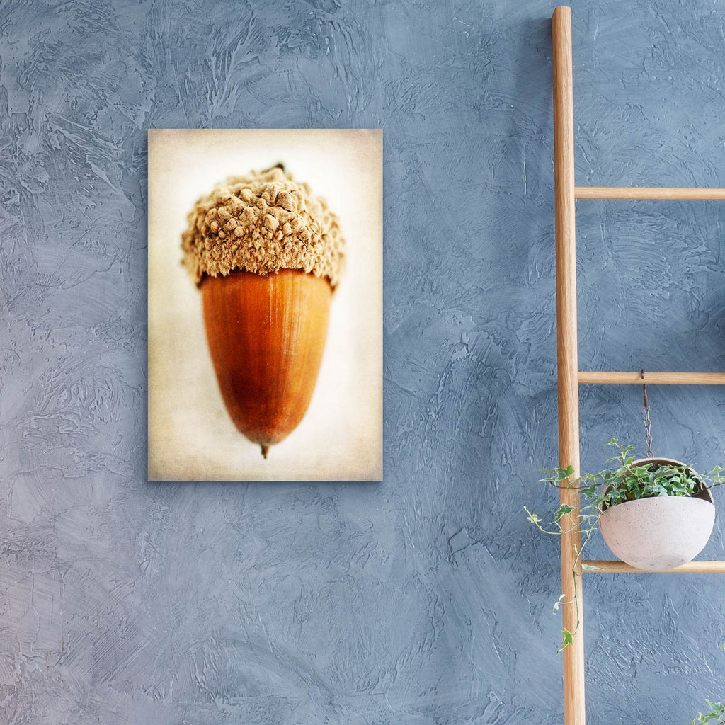 Epic Art 'Acorn' by Jessica Rogers, Acrylic Glass Wall Art,16x24