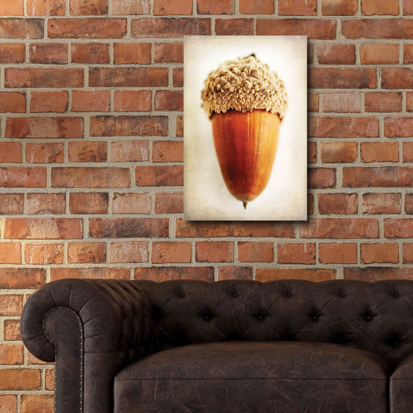 Epic Art 'Acorn' by Jessica Rogers, Acrylic Glass Wall Art,16x24