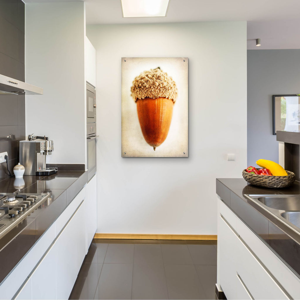 Epic Art 'Acorn' by Jessica Rogers, Acrylic Glass Wall Art,24x36