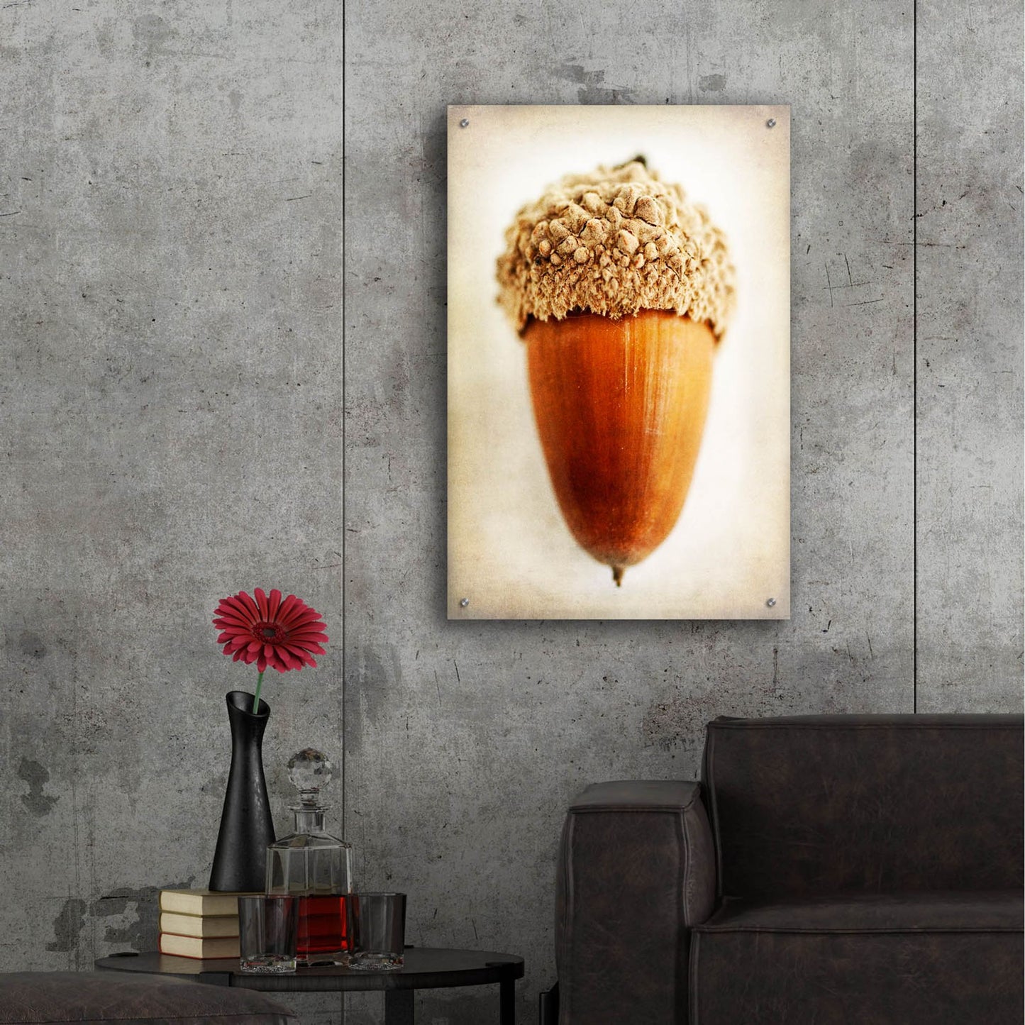 Epic Art 'Acorn' by Jessica Rogers, Acrylic Glass Wall Art,24x36