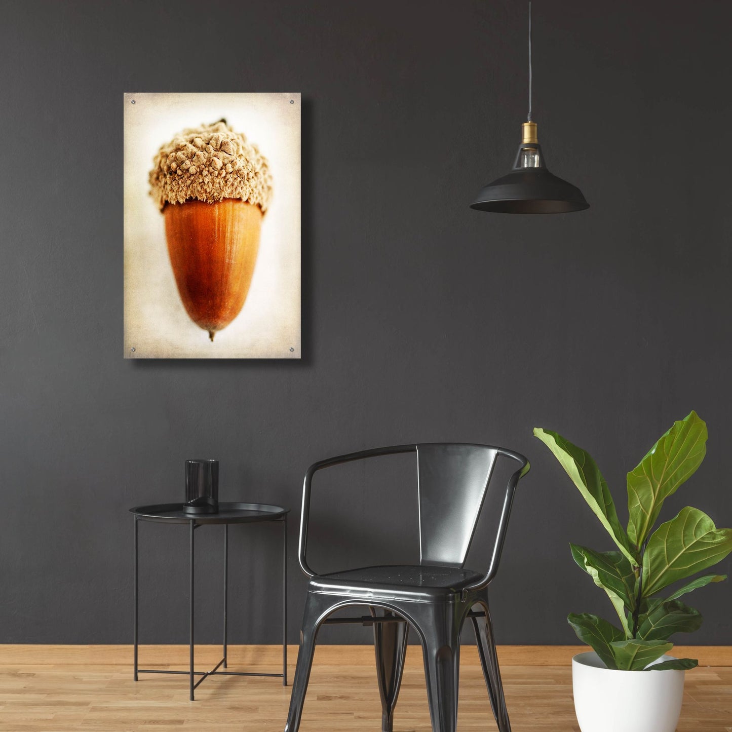 Epic Art 'Acorn' by Jessica Rogers, Acrylic Glass Wall Art,24x36