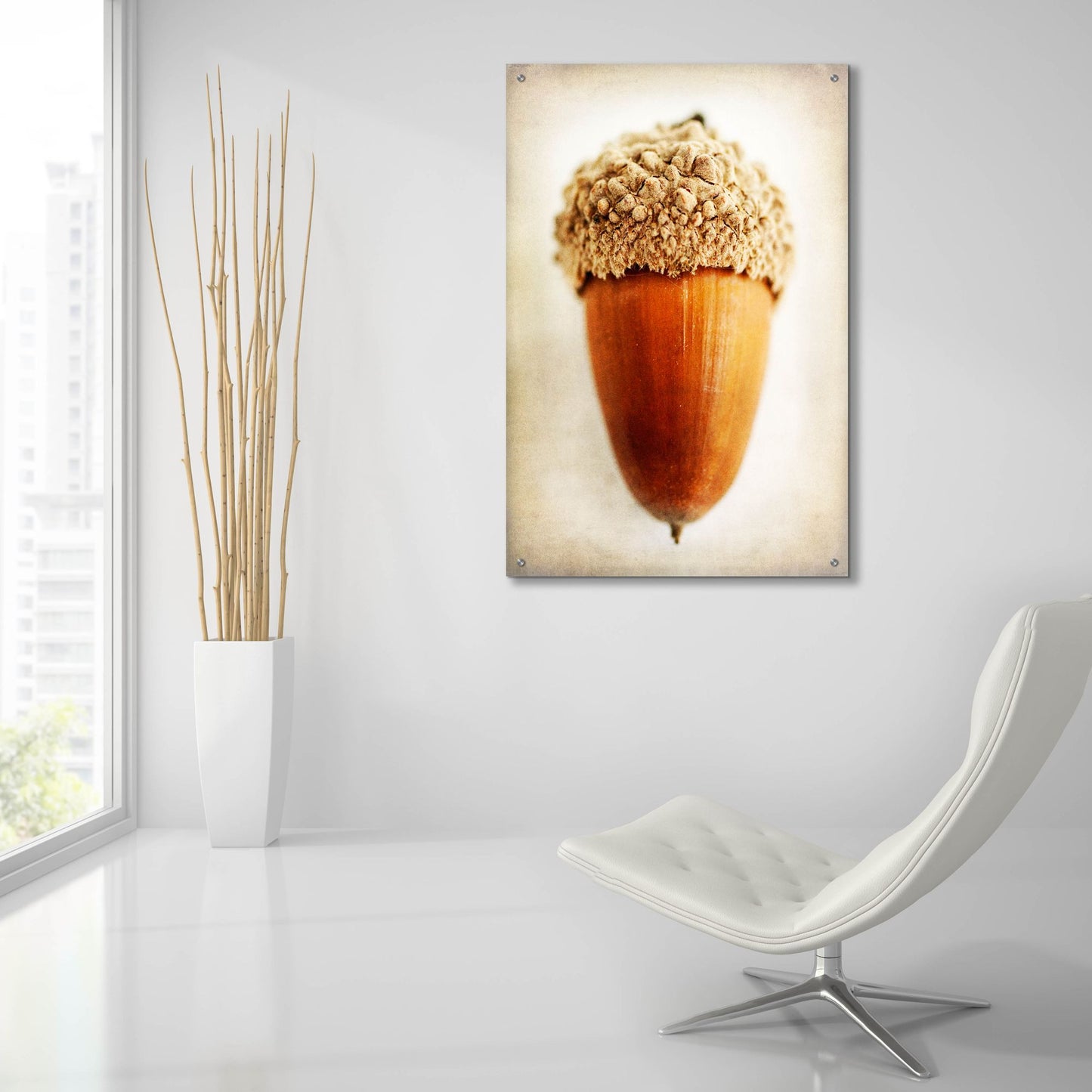 Epic Art 'Acorn' by Jessica Rogers, Acrylic Glass Wall Art,24x36