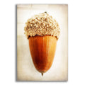 Epic Art 'Acorn' by Jessica Rogers, Acrylic Glass Wall Art