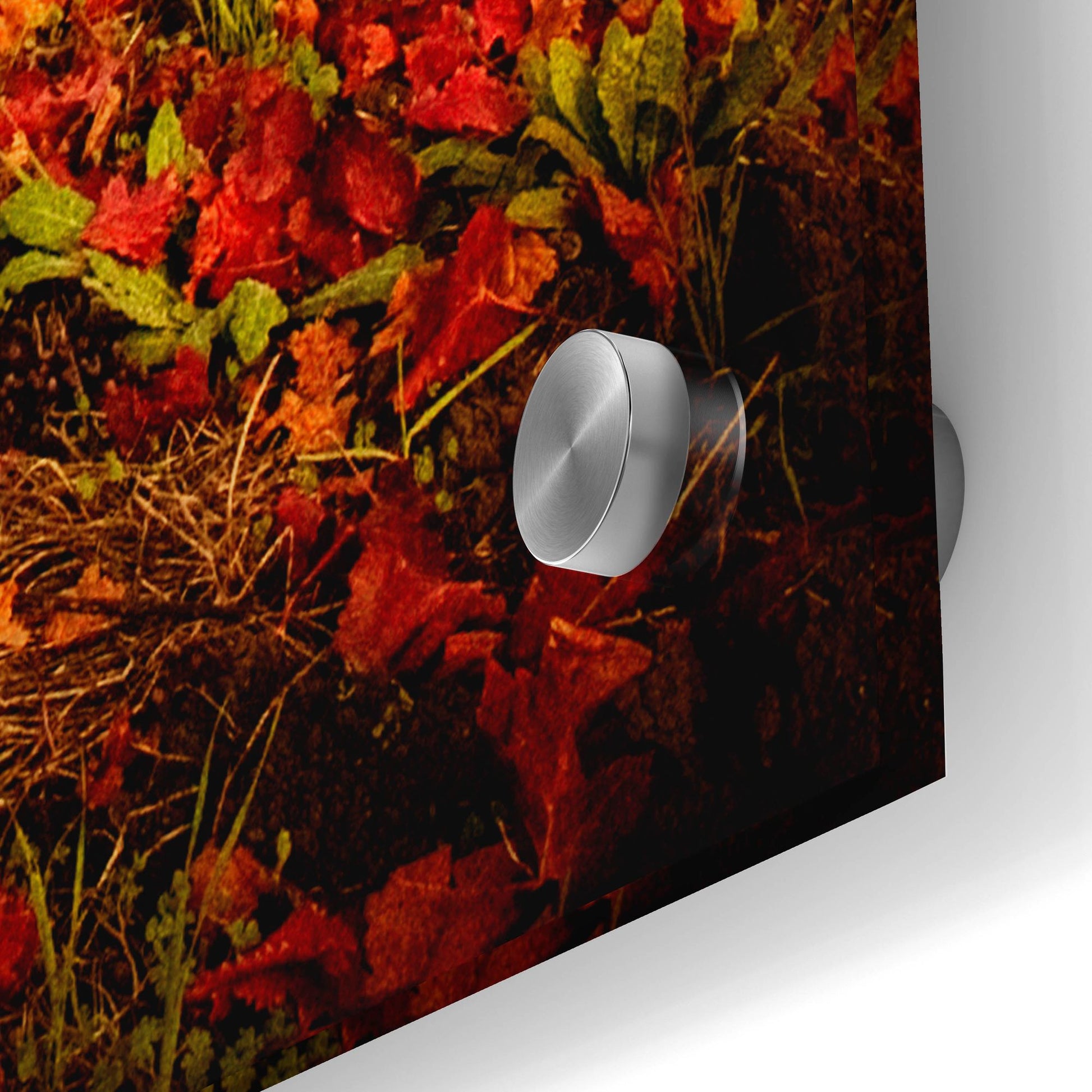 Epic Art 'Autumn Vines' by Jessica Rogers, Acrylic Glass Wall Art,24x36