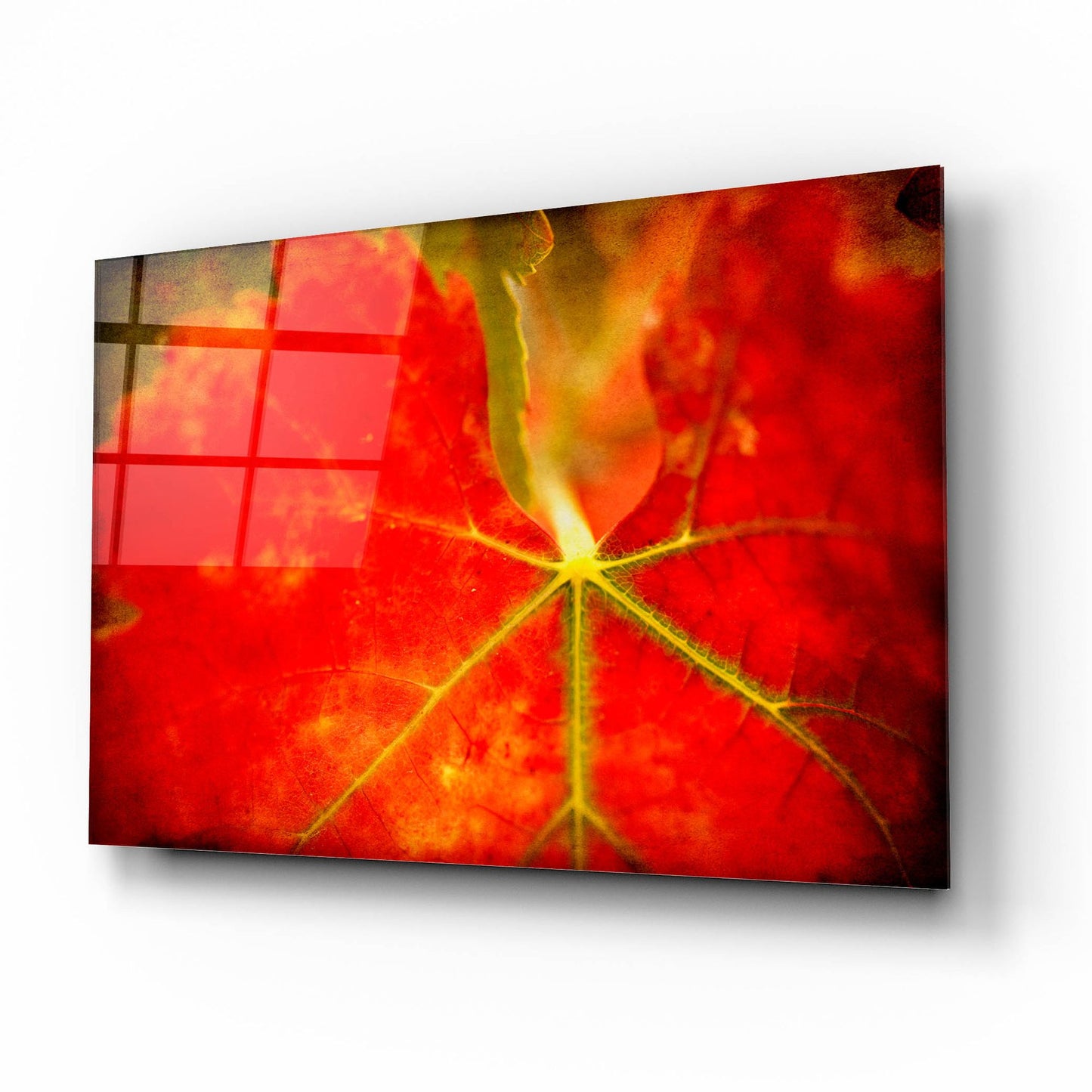 Epic Art 'Autumn'S Fire' by Jessica Rogers, Acrylic Glass Wall Art,16x12