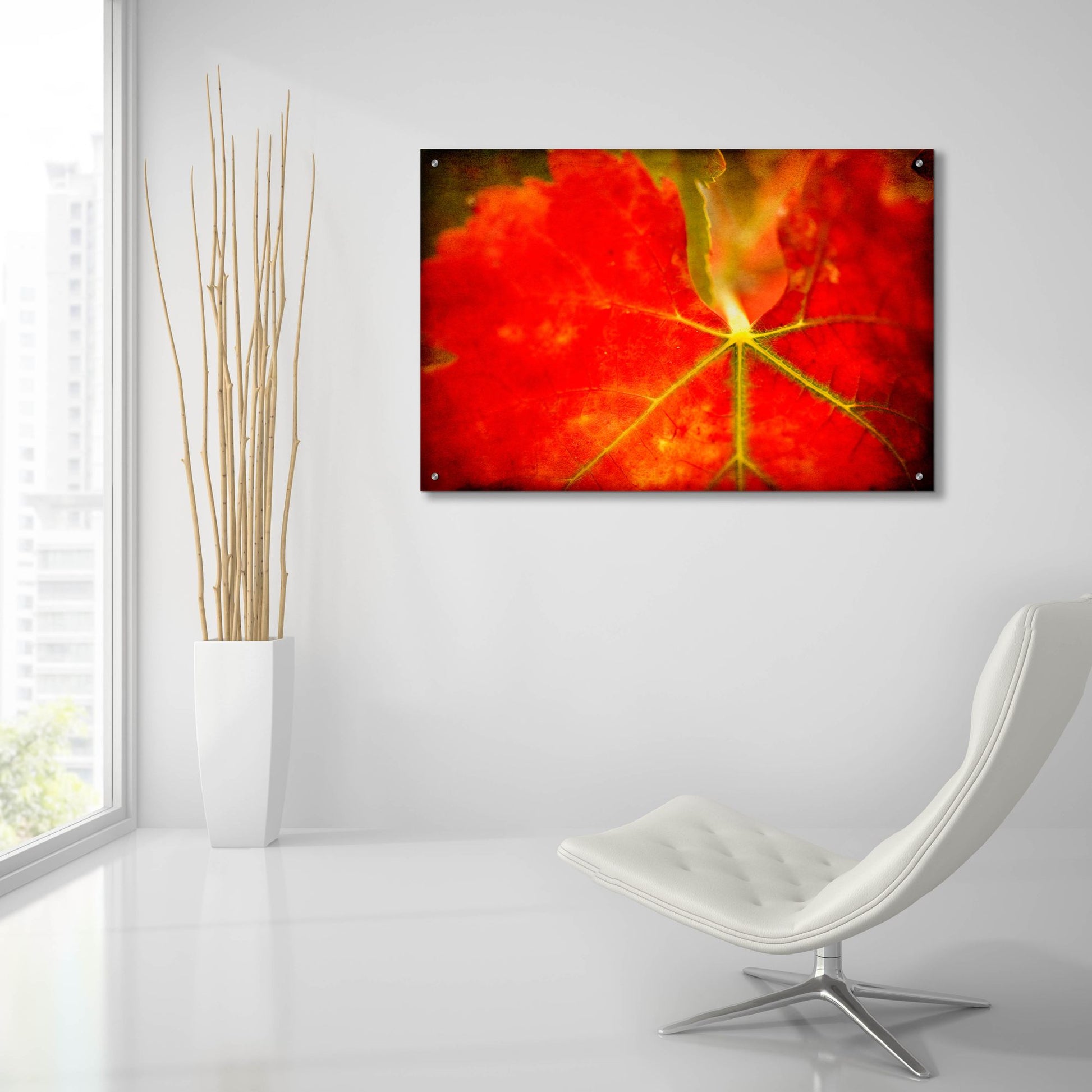 Epic Art 'Autumn'S Fire' by Jessica Rogers, Acrylic Glass Wall Art,36x24