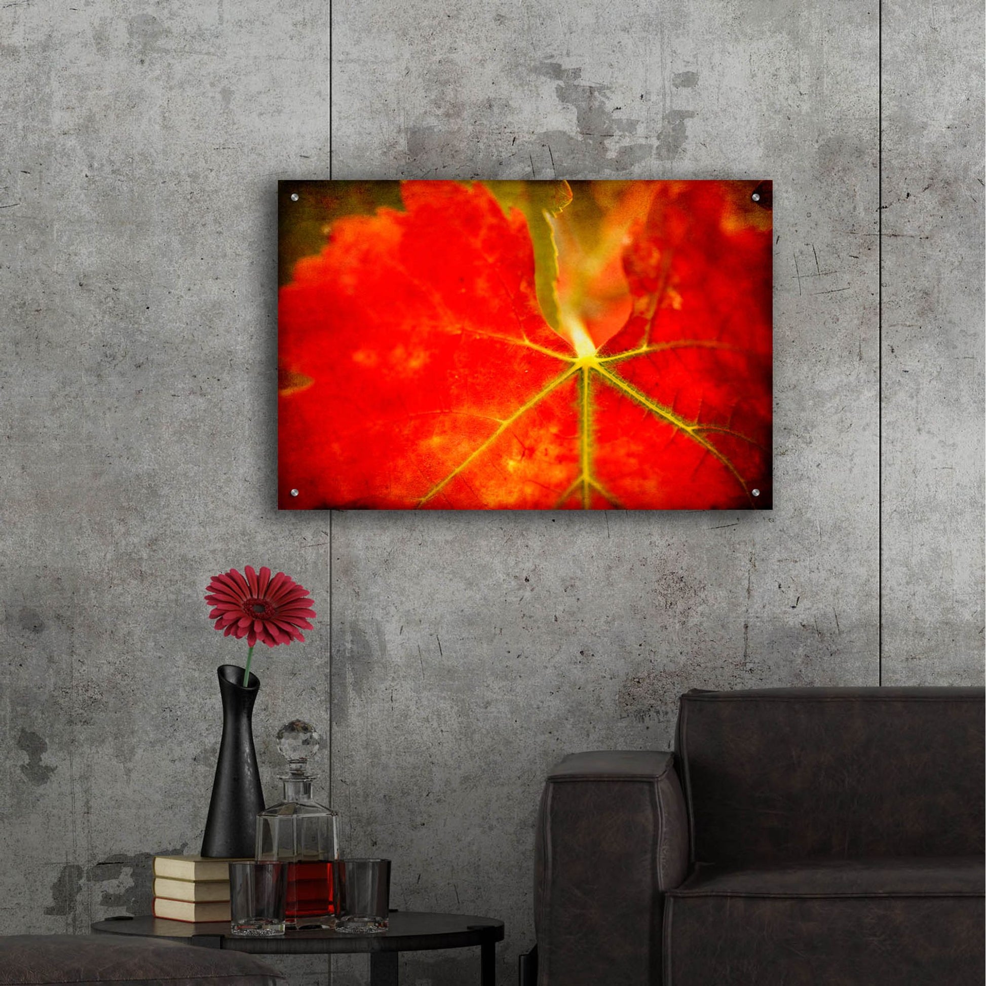 Epic Art 'Autumn'S Fire' by Jessica Rogers, Acrylic Glass Wall Art,36x24