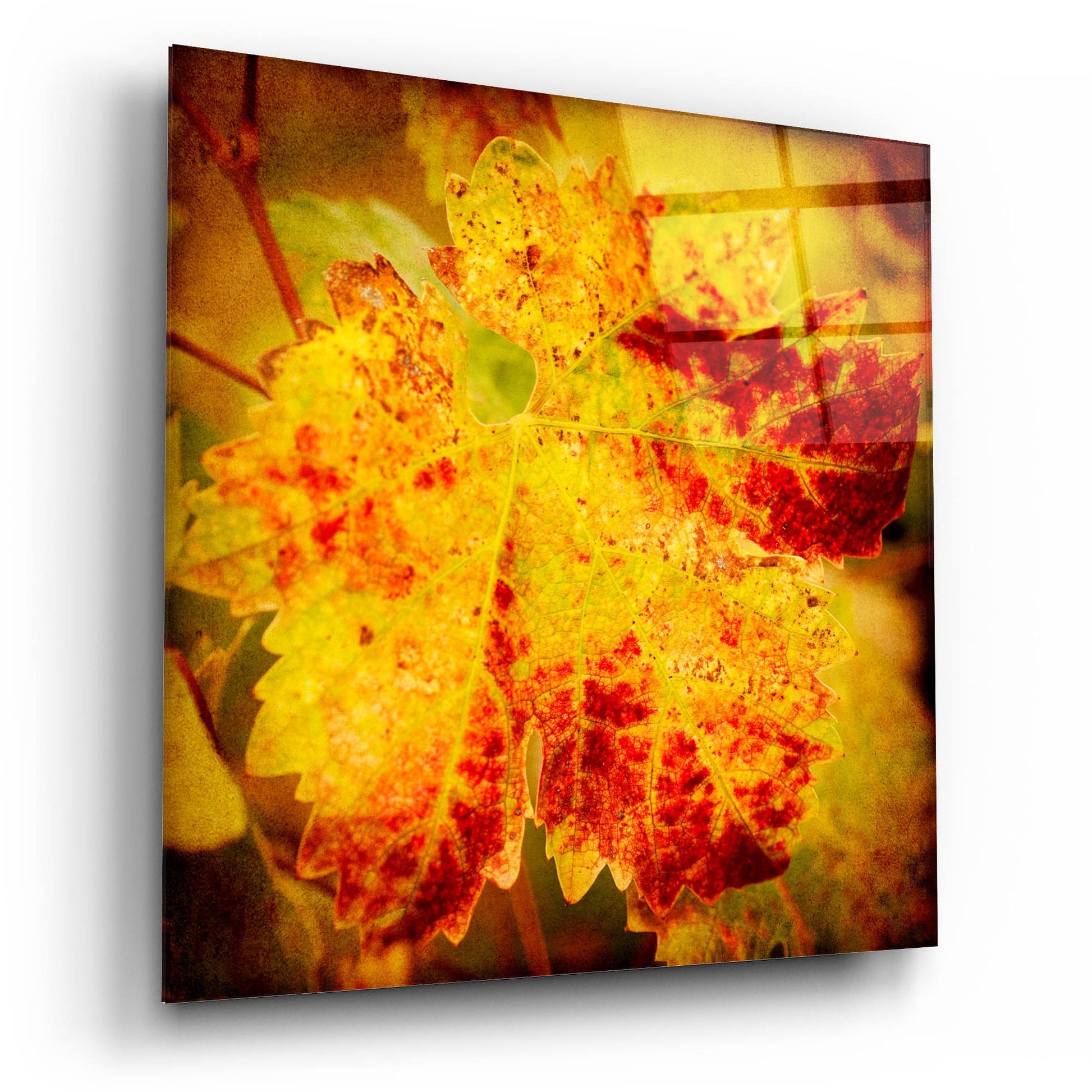 Epic Art 'Golden Foliage' by Jessica Rogers, Acrylic Glass Wall Art,12x12