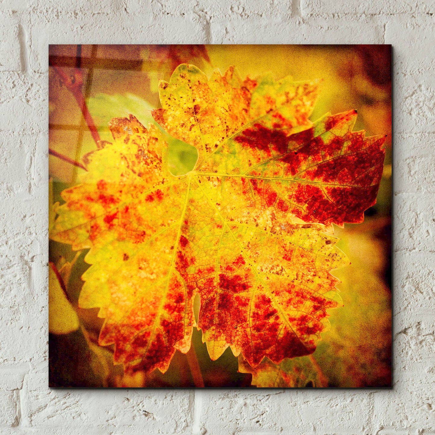 Epic Art 'Golden Foliage' by Jessica Rogers, Acrylic Glass Wall Art,12x12