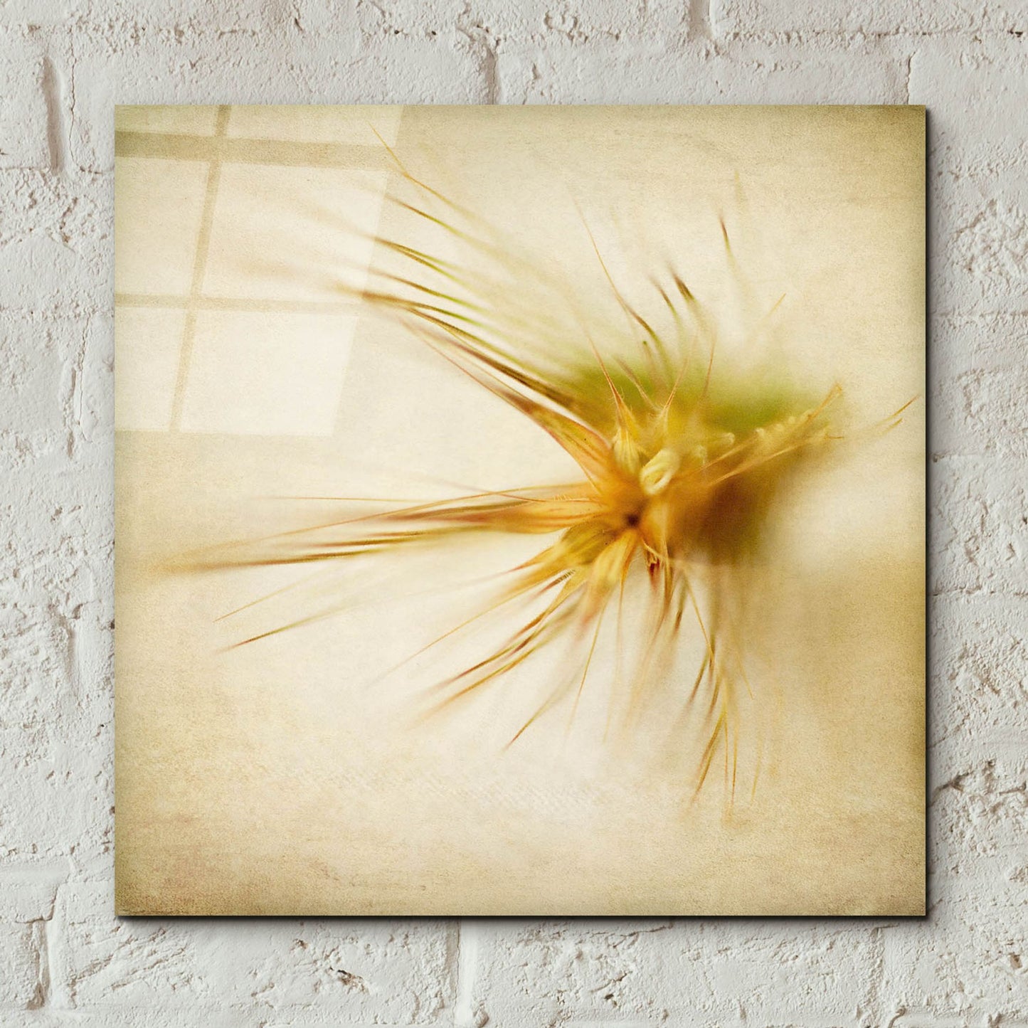 Epic Art 'Grasses 2' by Jessica Rogers, Acrylic Glass Wall Art,12x12