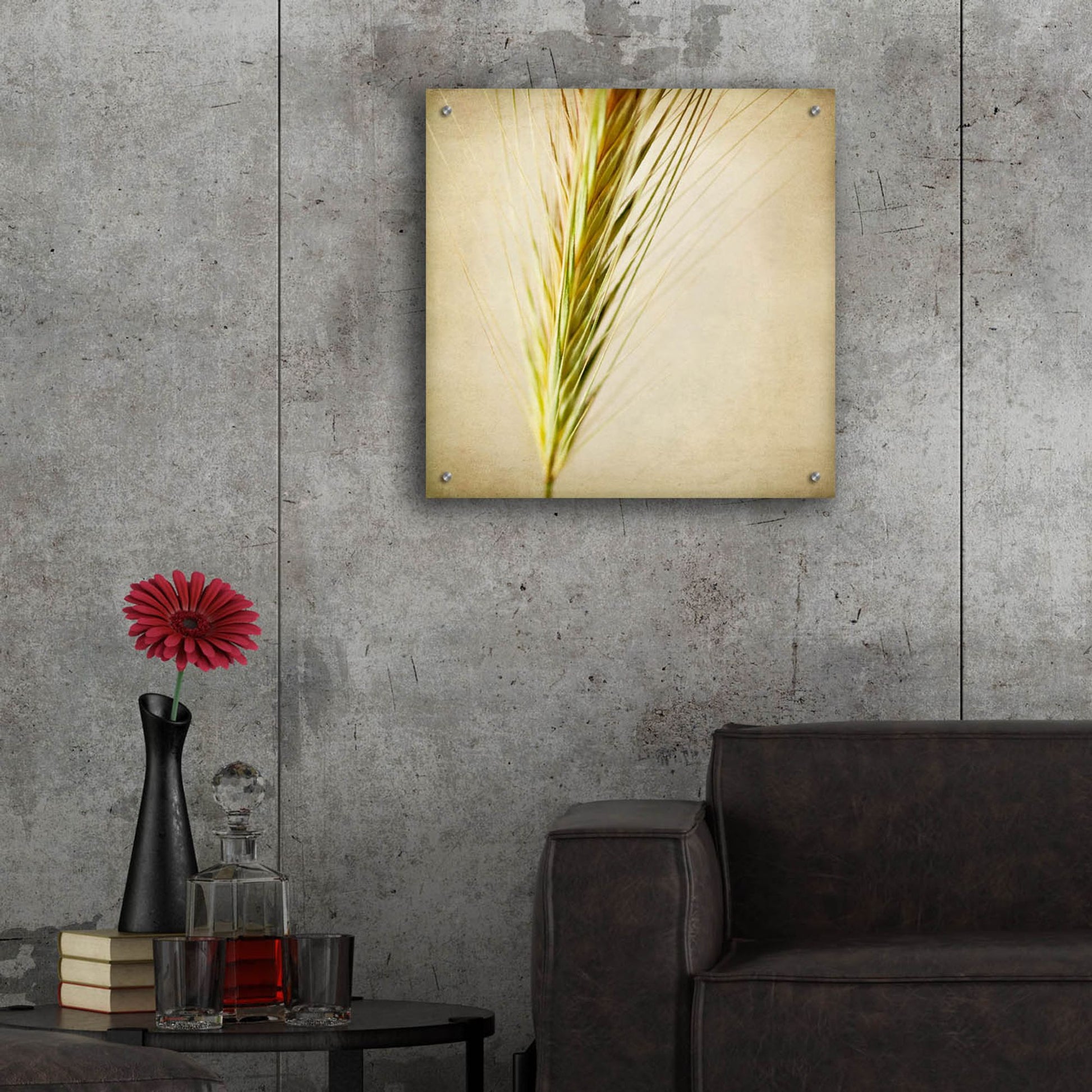 Epic Art 'Grasses 3' by Jessica Rogers, Acrylic Glass Wall Art,24x24