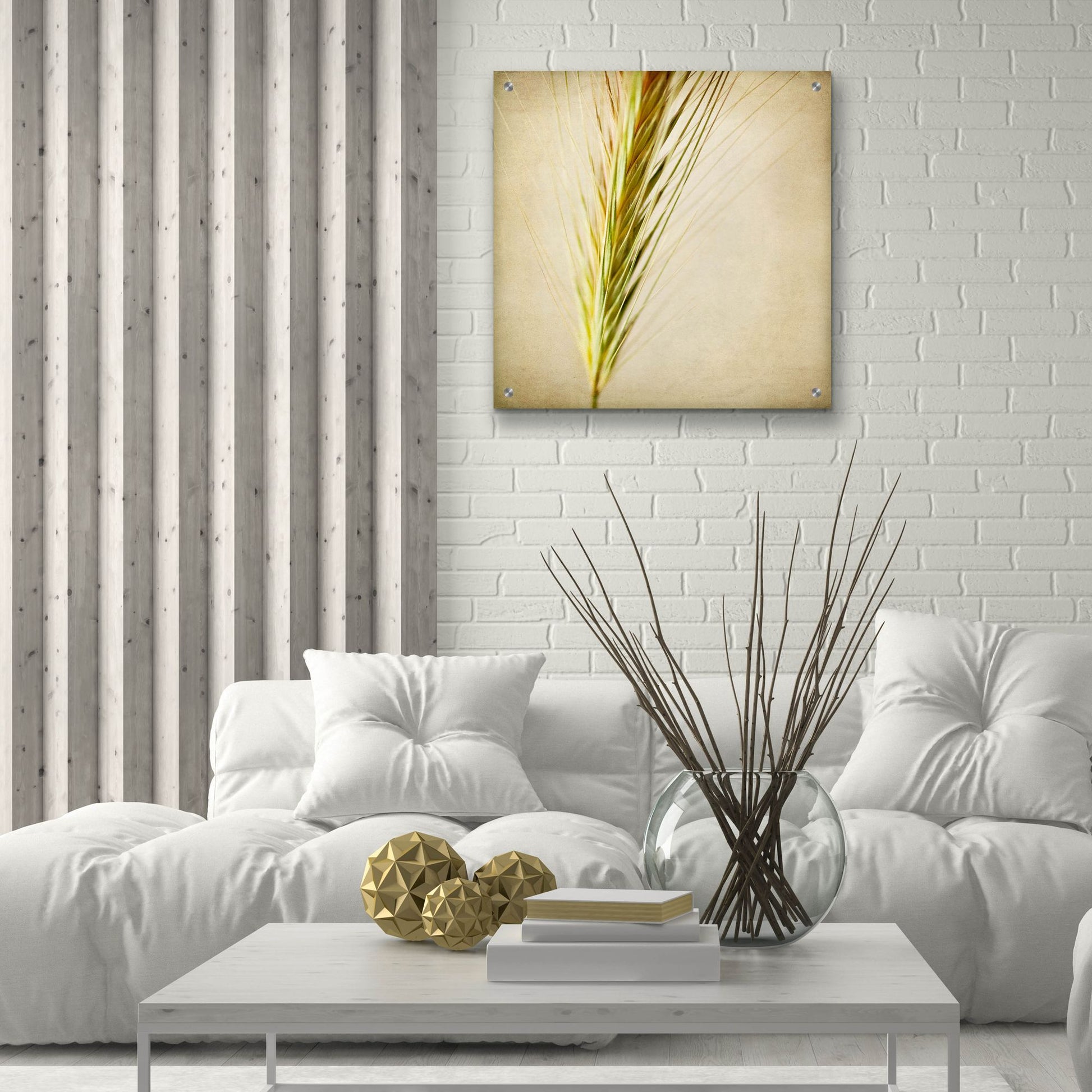 Epic Art 'Grasses 3' by Jessica Rogers, Acrylic Glass Wall Art,24x24