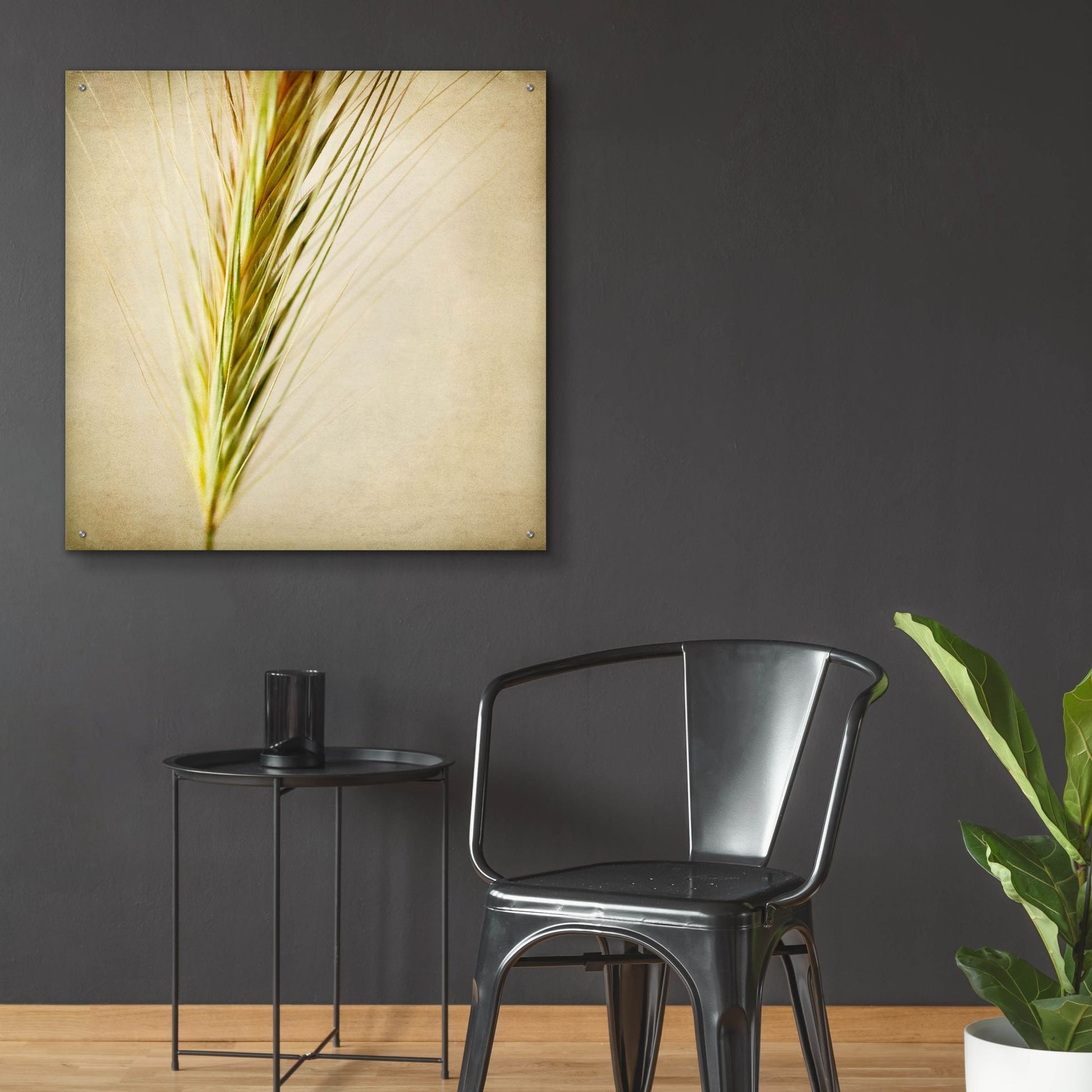 Epic Art 'Grasses 3' by Jessica Rogers, Acrylic Glass Wall Art,36x36