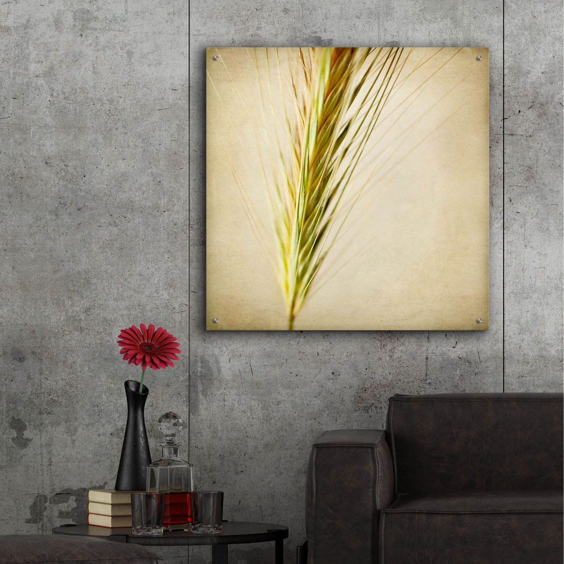 Epic Art 'Grasses 3' by Jessica Rogers, Acrylic Glass Wall Art,36x36