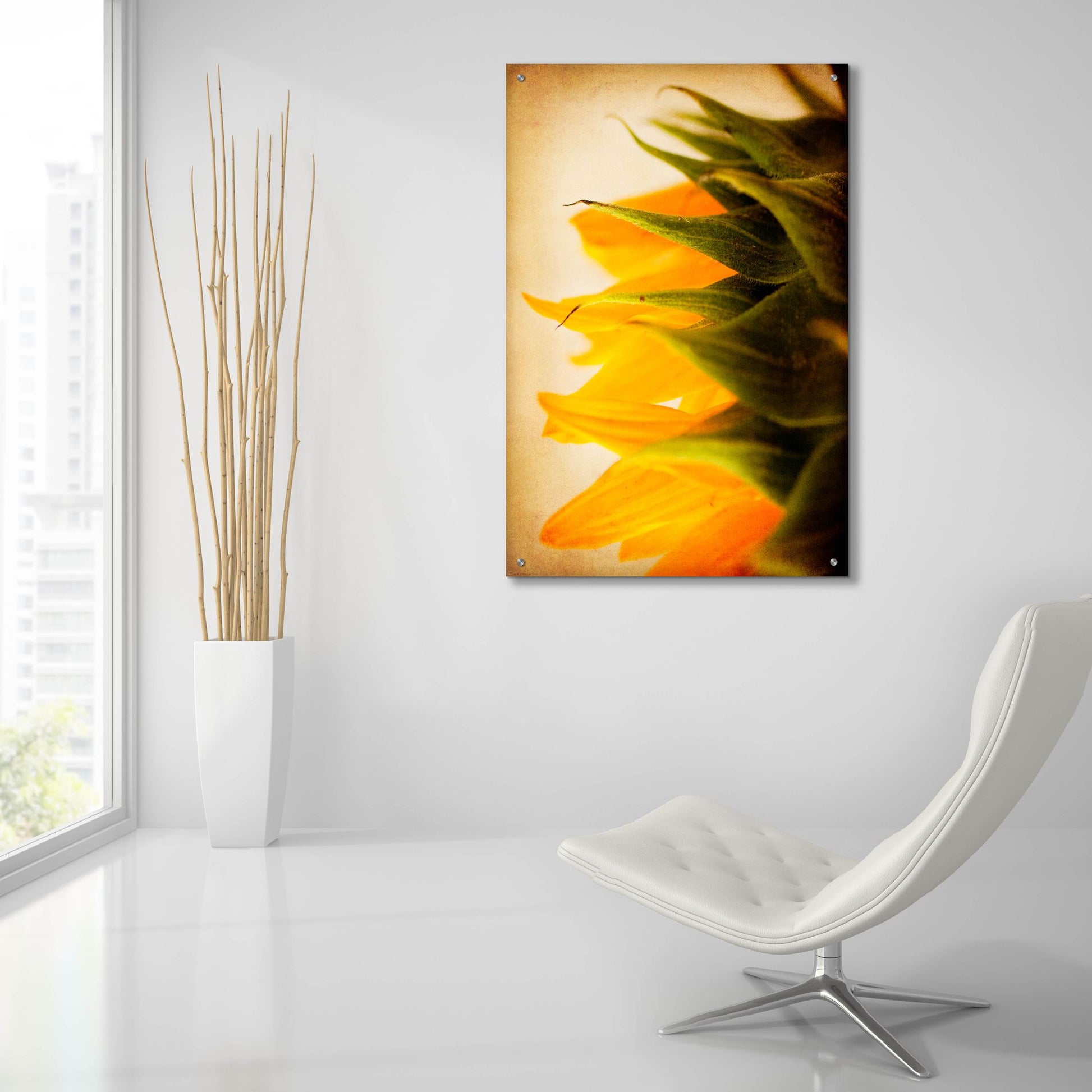 Epic Art 'Late Bloomer' by Jessica Rogers, Acrylic Glass Wall Art,24x36