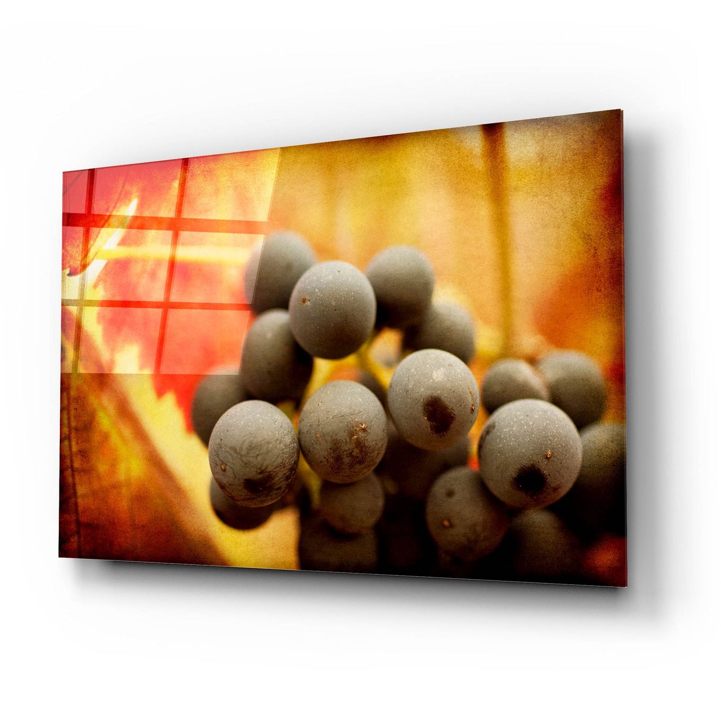 Epic Art 'Late Harvest' by Jessica Rogers, Acrylic Glass Wall Art,24x16