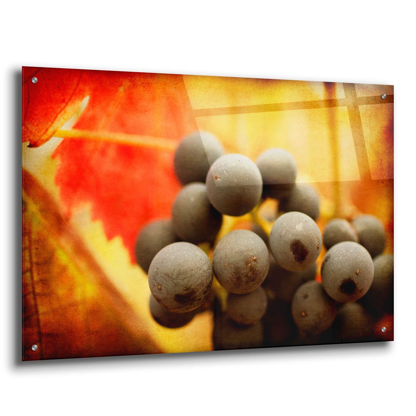 Epic Art 'Late Harvest' by Jessica Rogers, Acrylic Glass Wall Art,36x24