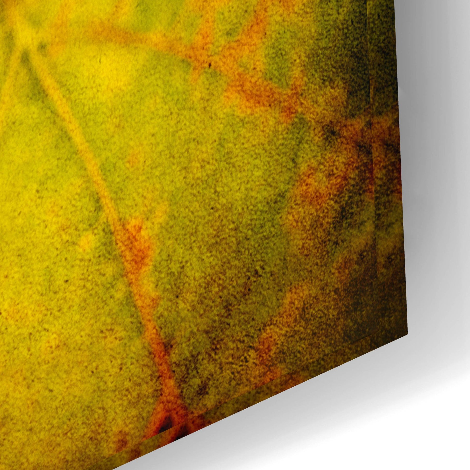 Epic Art 'Leaf And Cluster 1' by Jessica Rogers, Acrylic Glass Wall Art,24x16