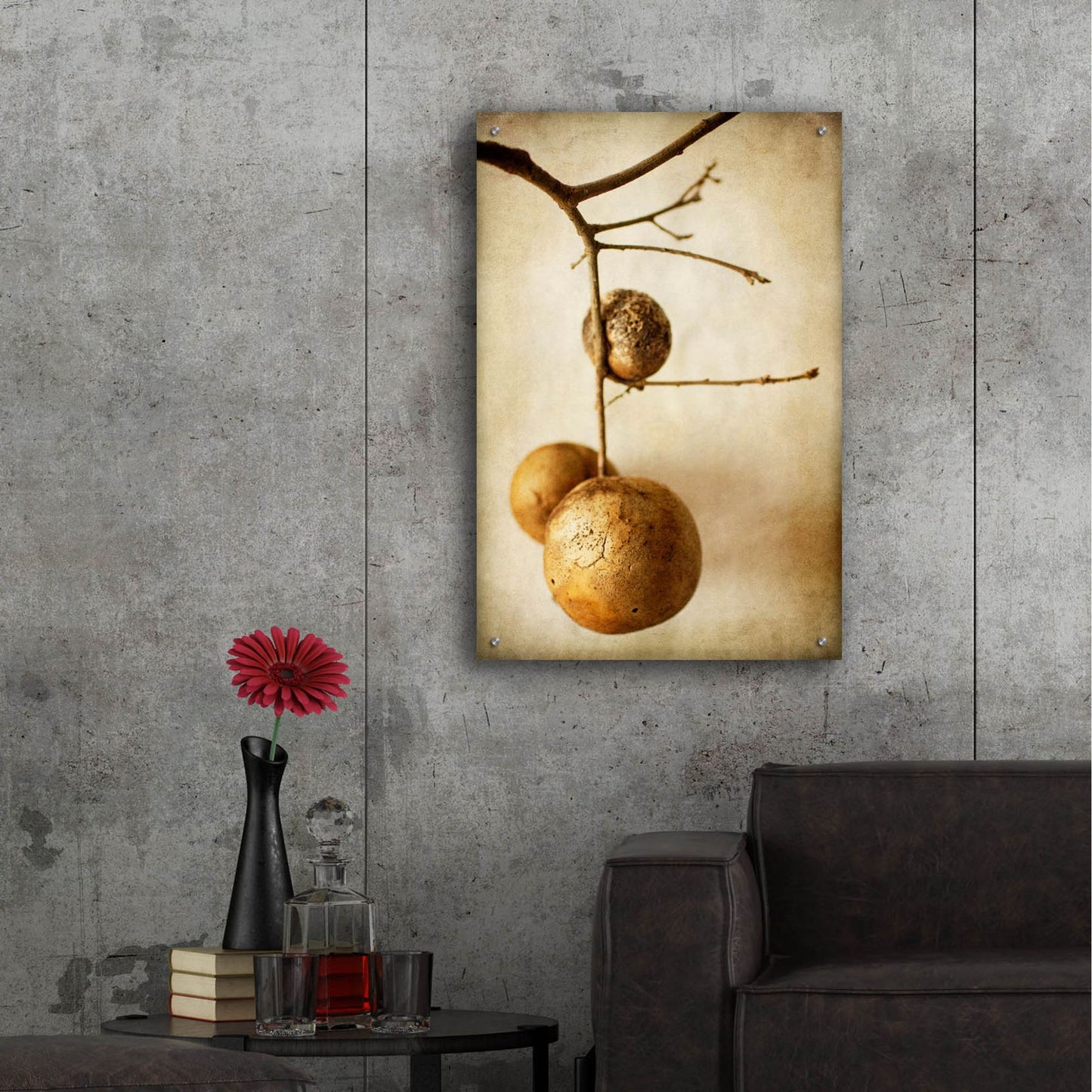 Epic Art 'Oak Pods 1' by Jessica Rogers, Acrylic Glass Wall Art,24x36