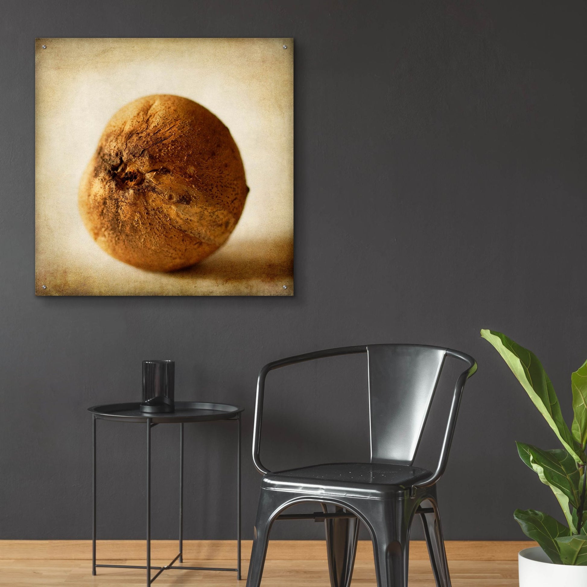 Epic Art 'Oak Pods 4' by Jessica Rogers, Acrylic Glass Wall Art,36x36