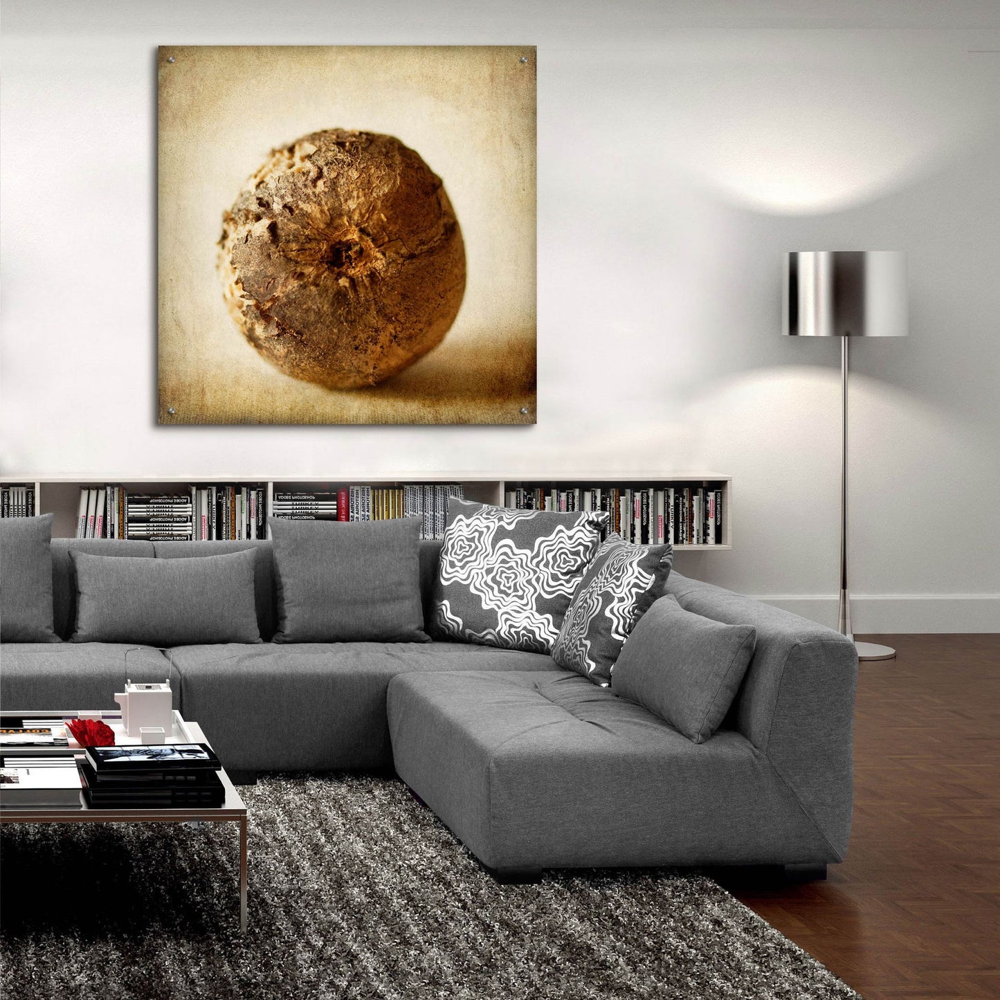 Epic Art 'Oak Pods 5' by Jessica Rogers, Acrylic Glass Wall Art,36x36