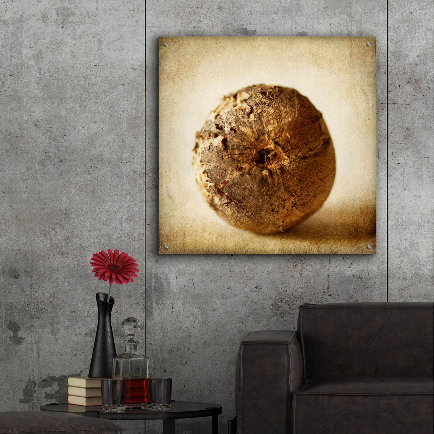 Epic Art 'Oak Pods 5' by Jessica Rogers, Acrylic Glass Wall Art,36x36