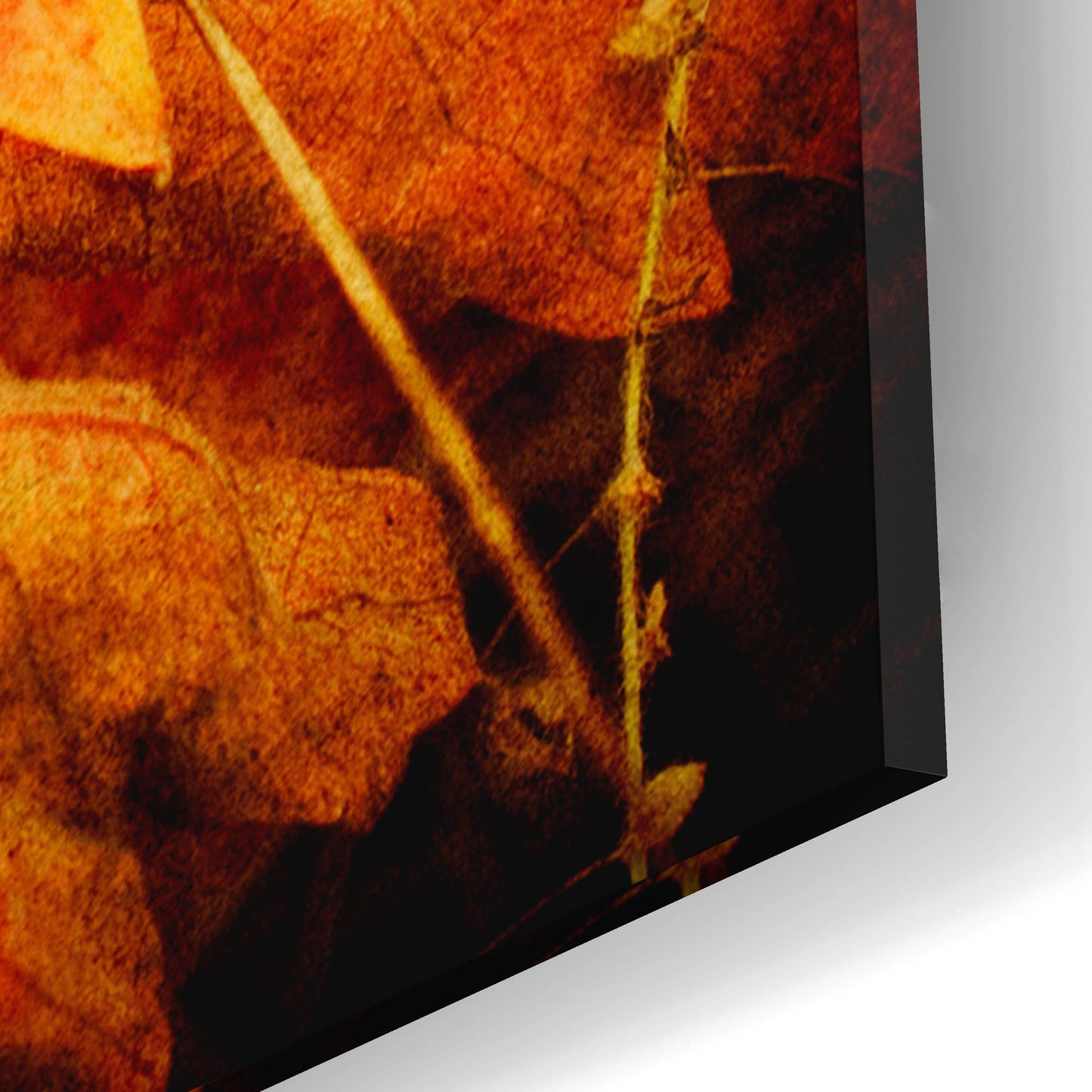 Epic Art 'Ochre Foliage' by Jessica Rogers, Acrylic Glass Wall Art,12x12