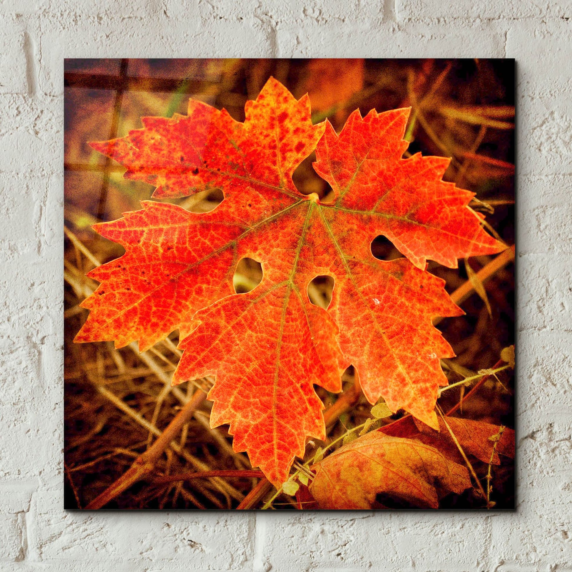 Epic Art 'Ochre Foliage' by Jessica Rogers, Acrylic Glass Wall Art,12x12